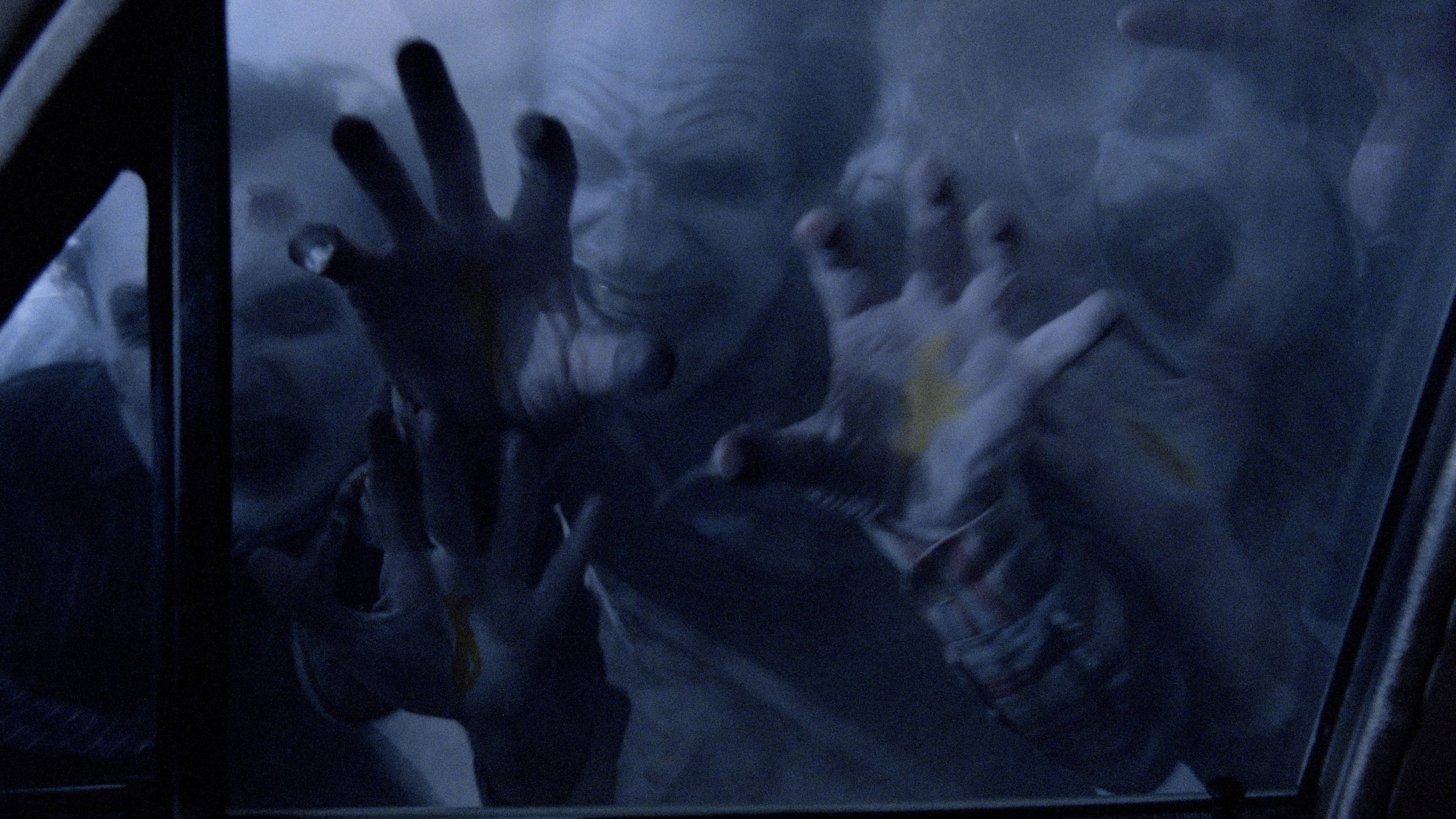 Night Shadows scene photo