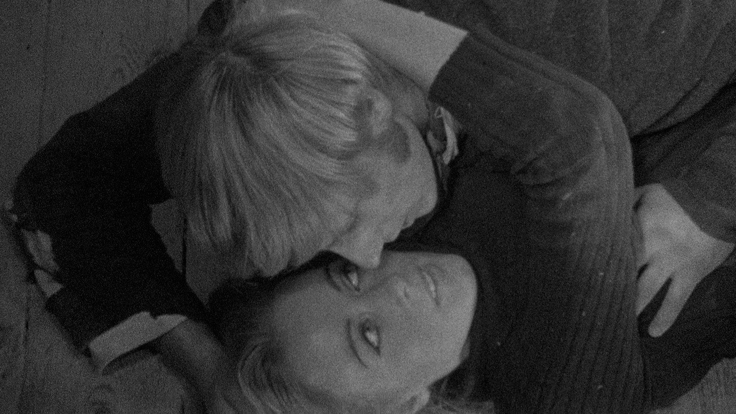 Nightbirds scene photo