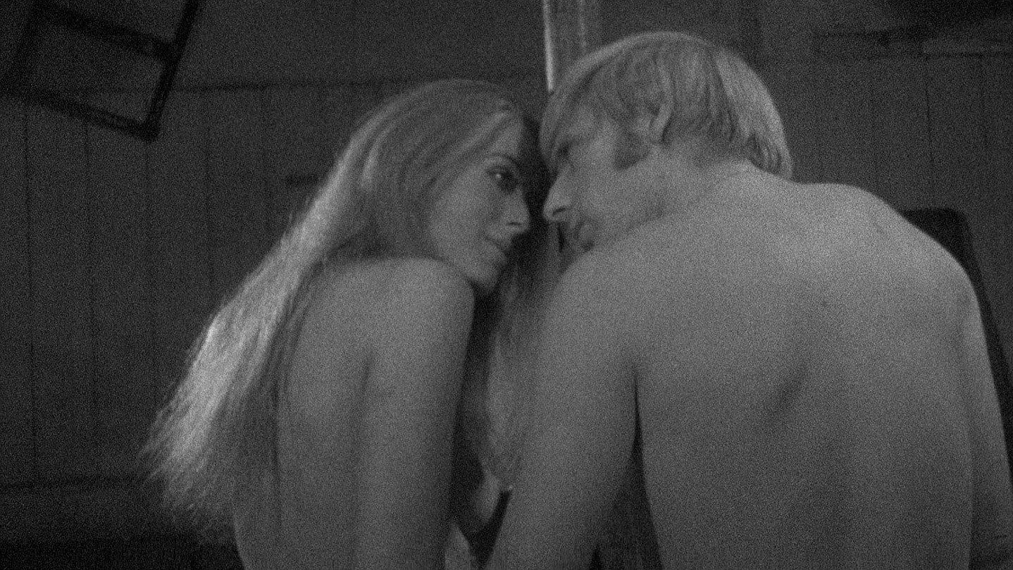 Nightbirds scene photo