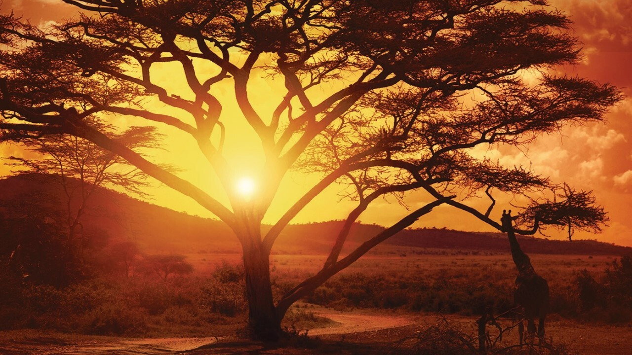 Nirgendwo in Afrika scene photo