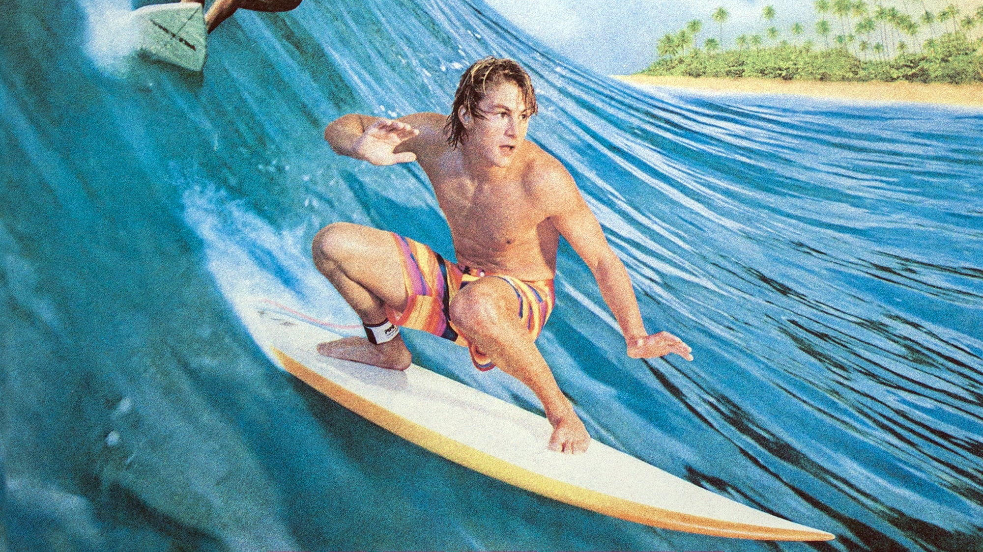 North Shore scene photo