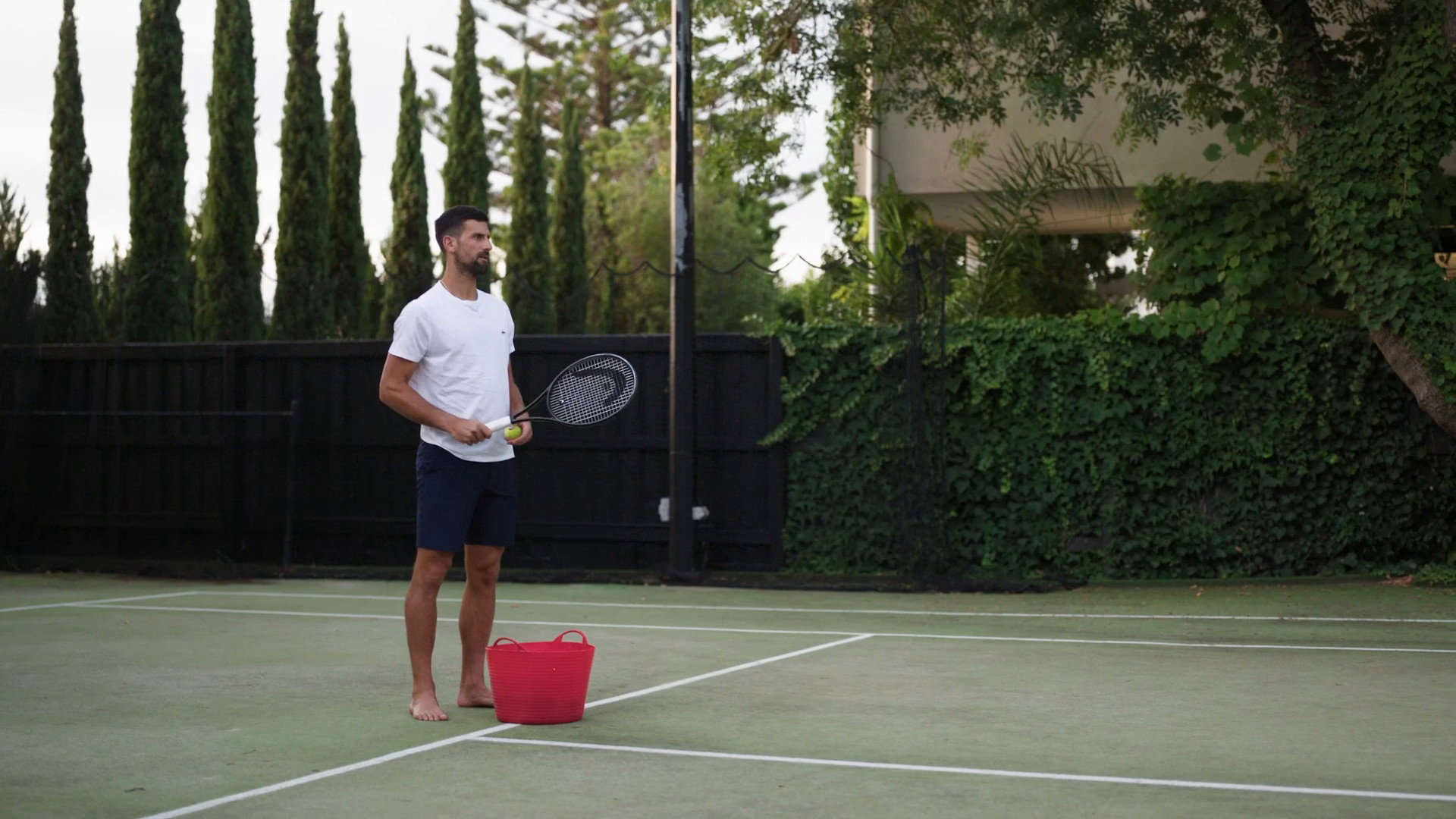 Novak Djokovic: The Wolf in Winter scene photo