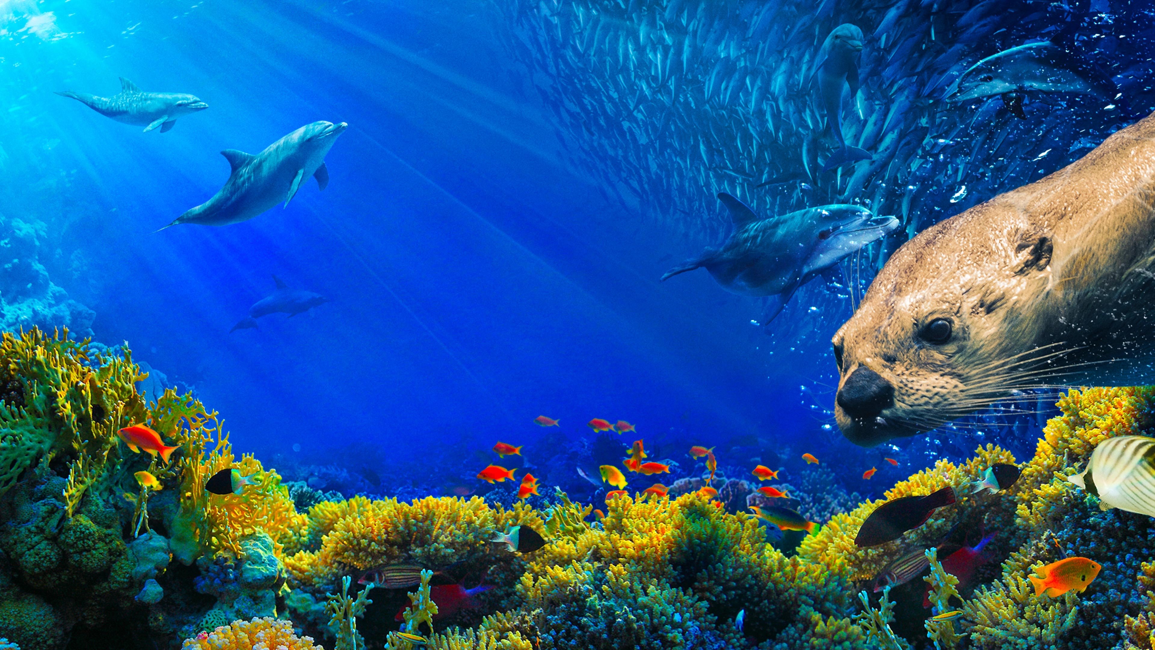 Oceans: Our Blue Planet scene photo