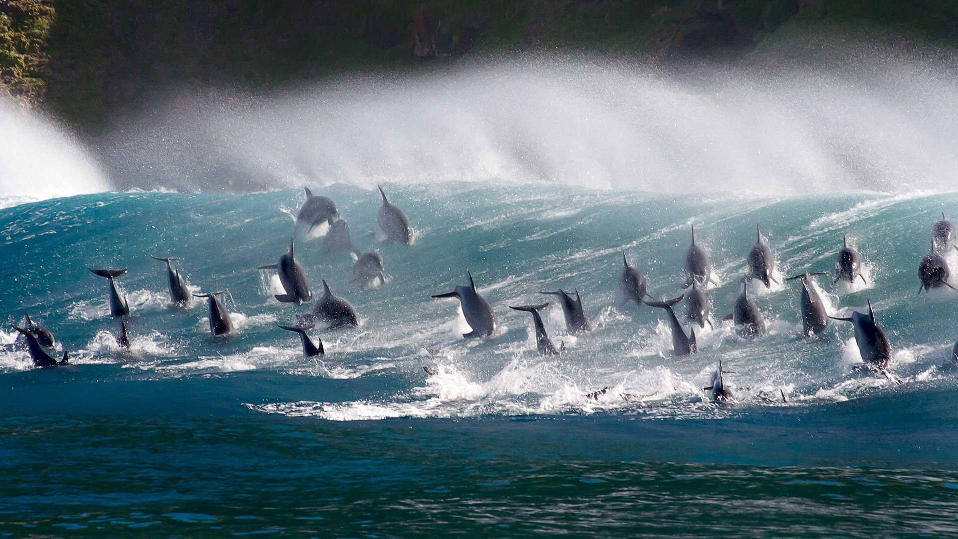 Oceans: Our Blue Planet scene photo