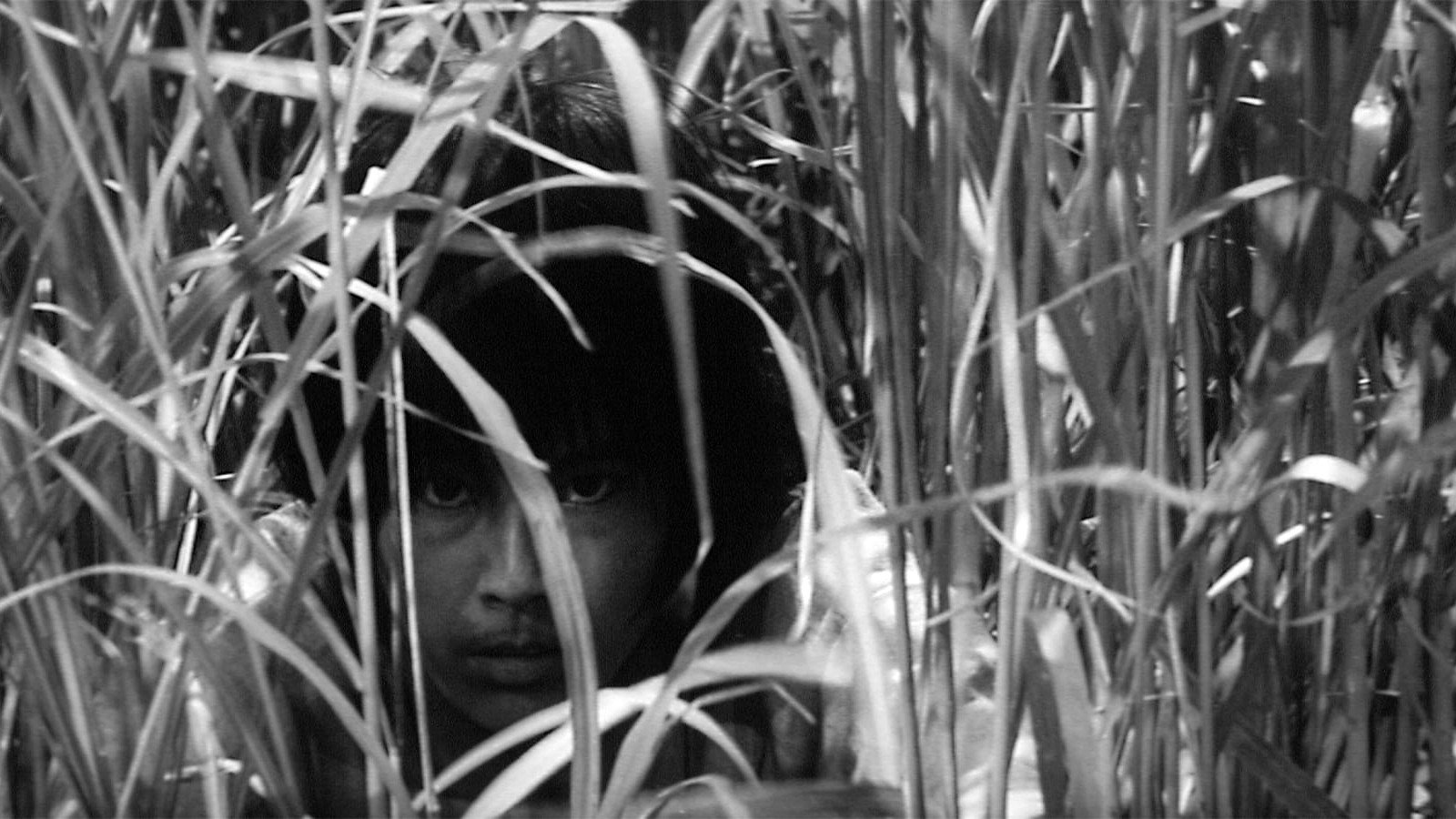 Onibaba scene photo