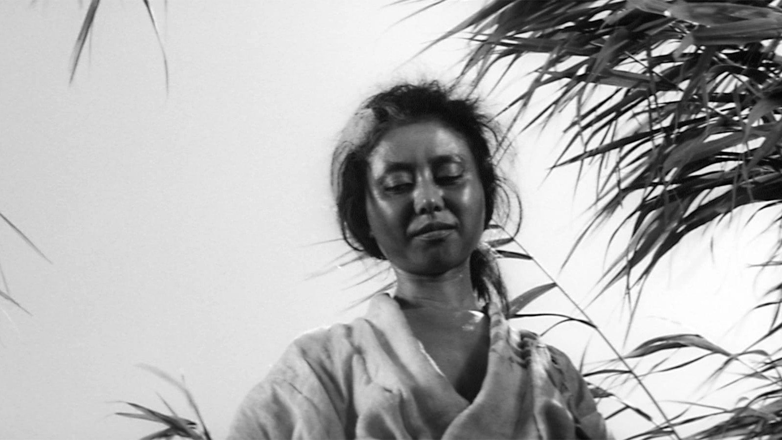 Onibaba scene photo