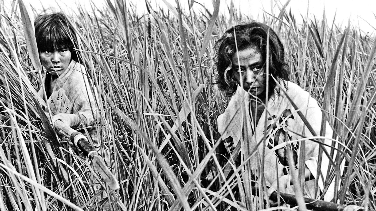 Onibaba scene photo
