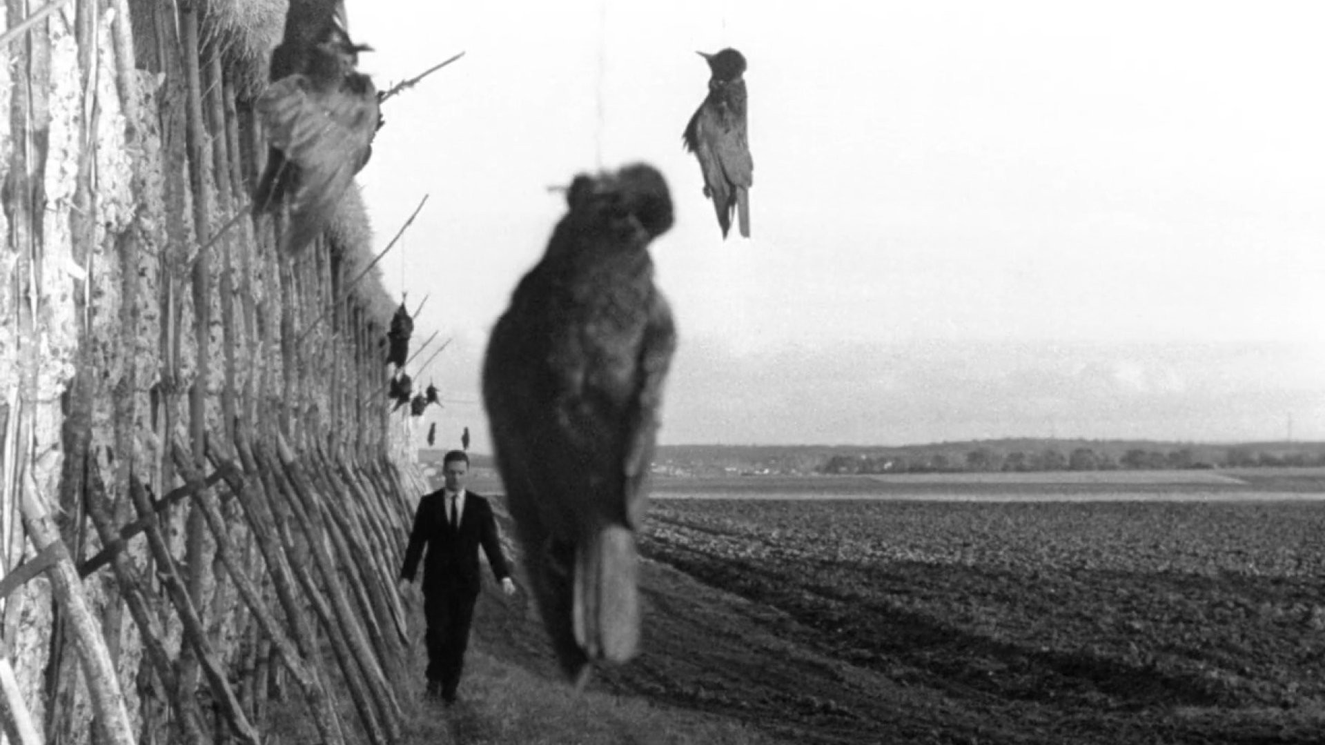 Ophélia scene photo