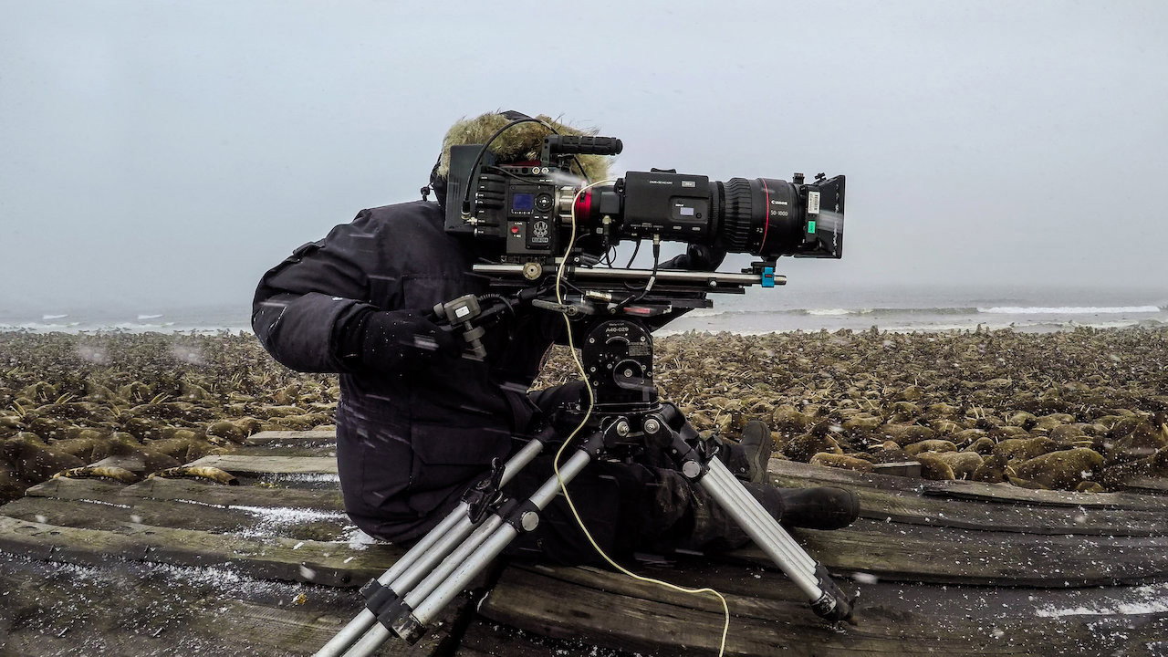 Our Planet: Behind the Scenes scene photo