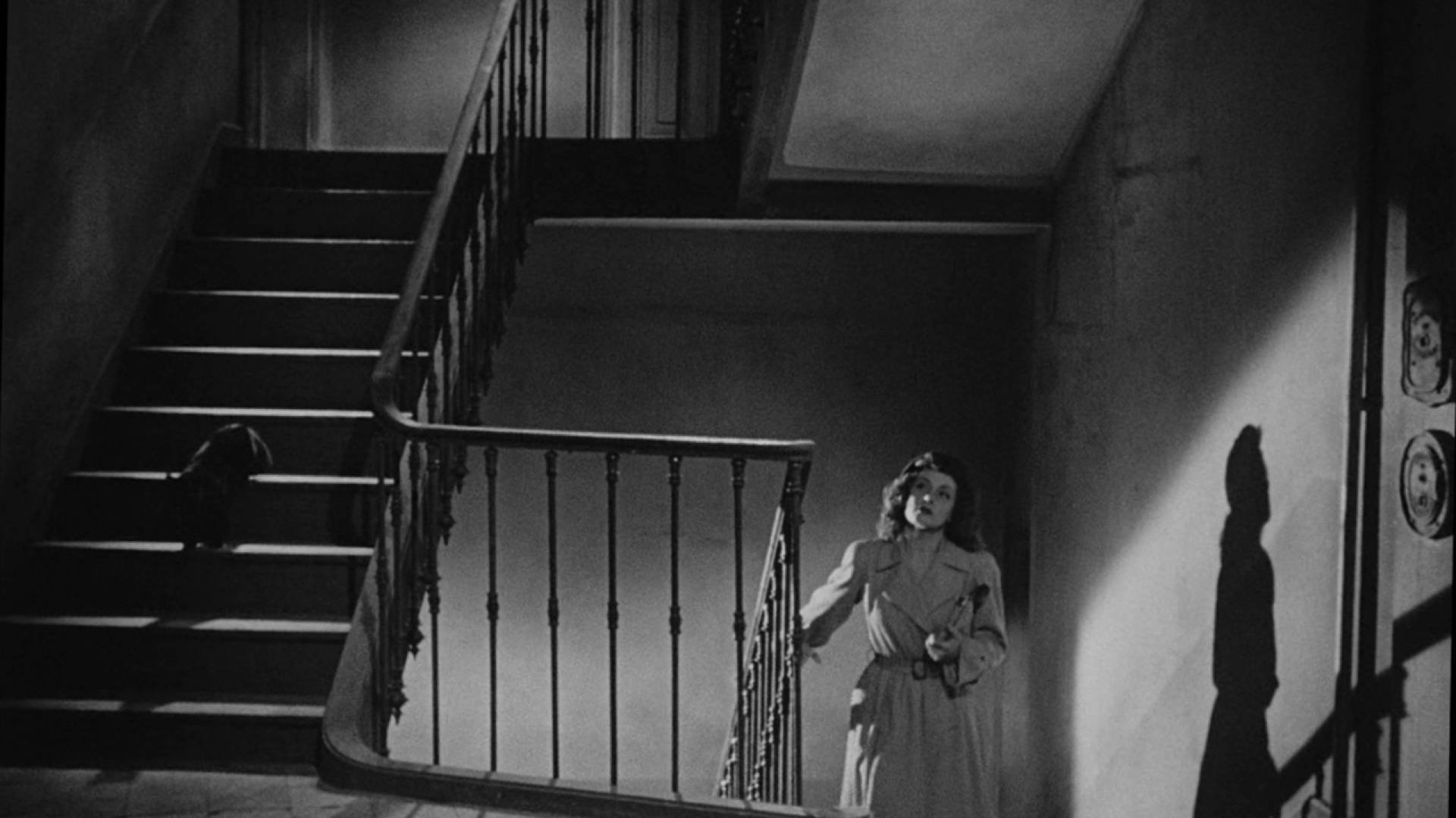 Panique scene photo