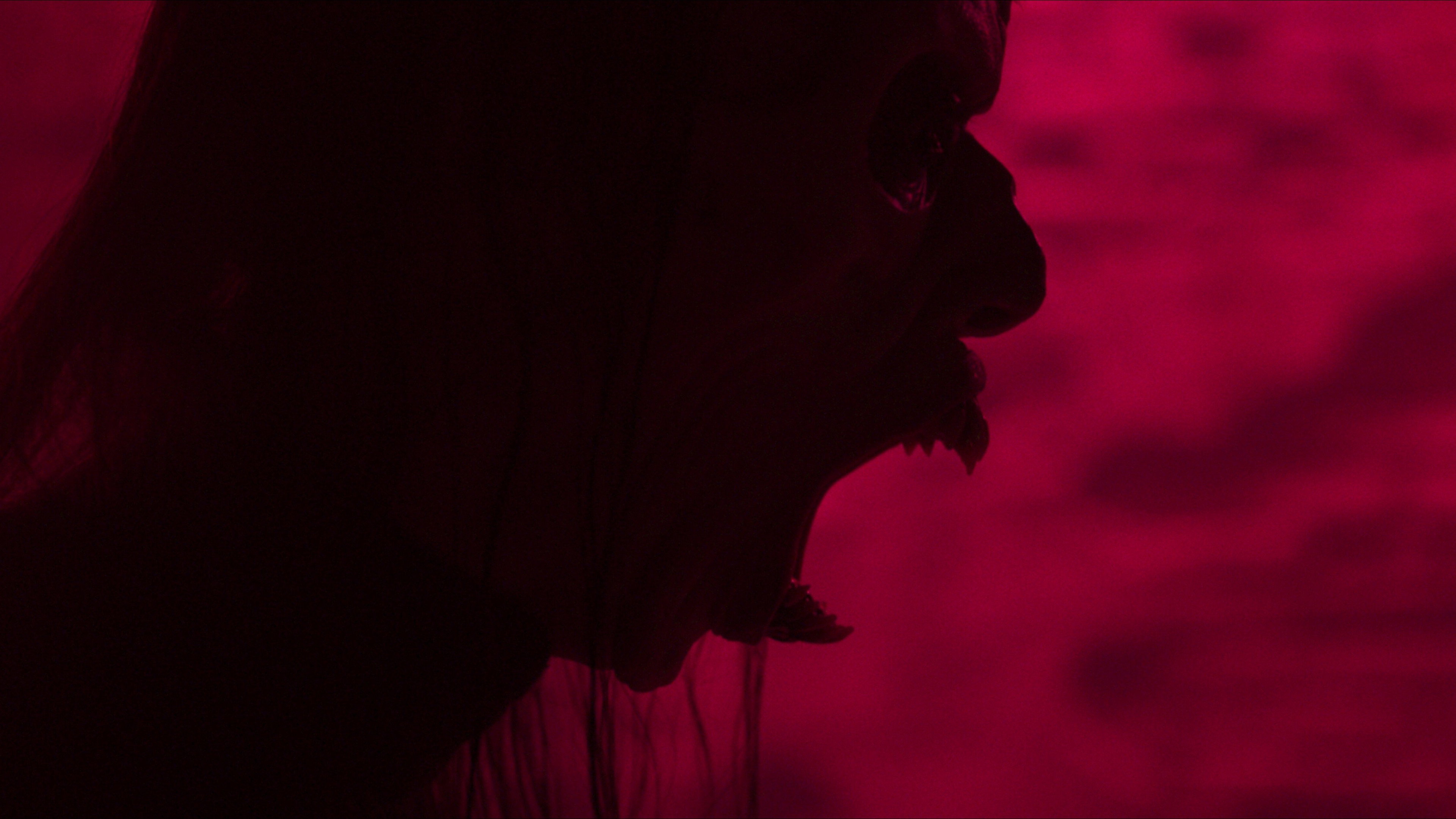 Parasomnia scene photo