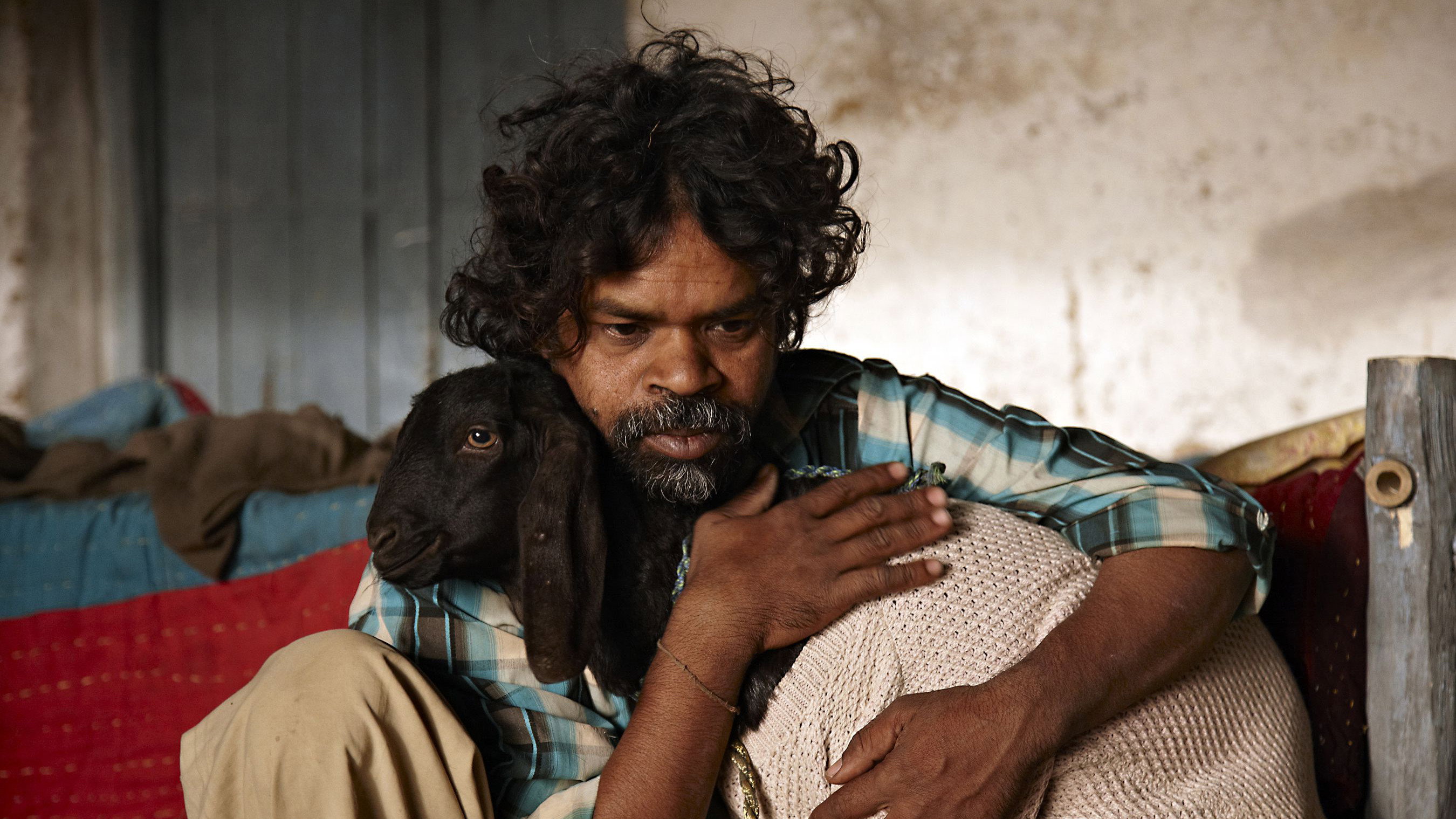 Peepli [Live] scene photo