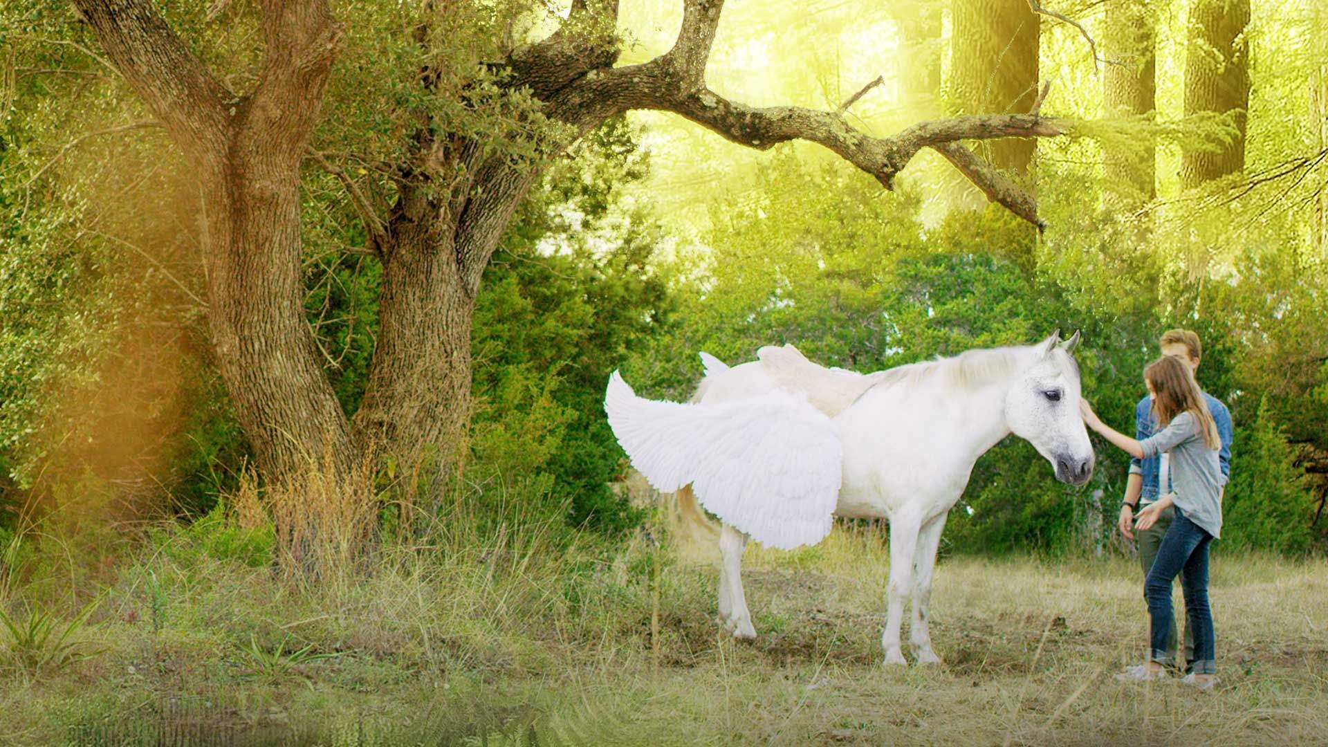 Pegasus: Pony with a Broken Wing scene photo