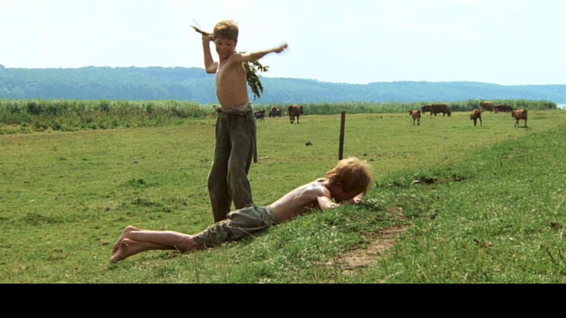 Pelle erobreren scene photo