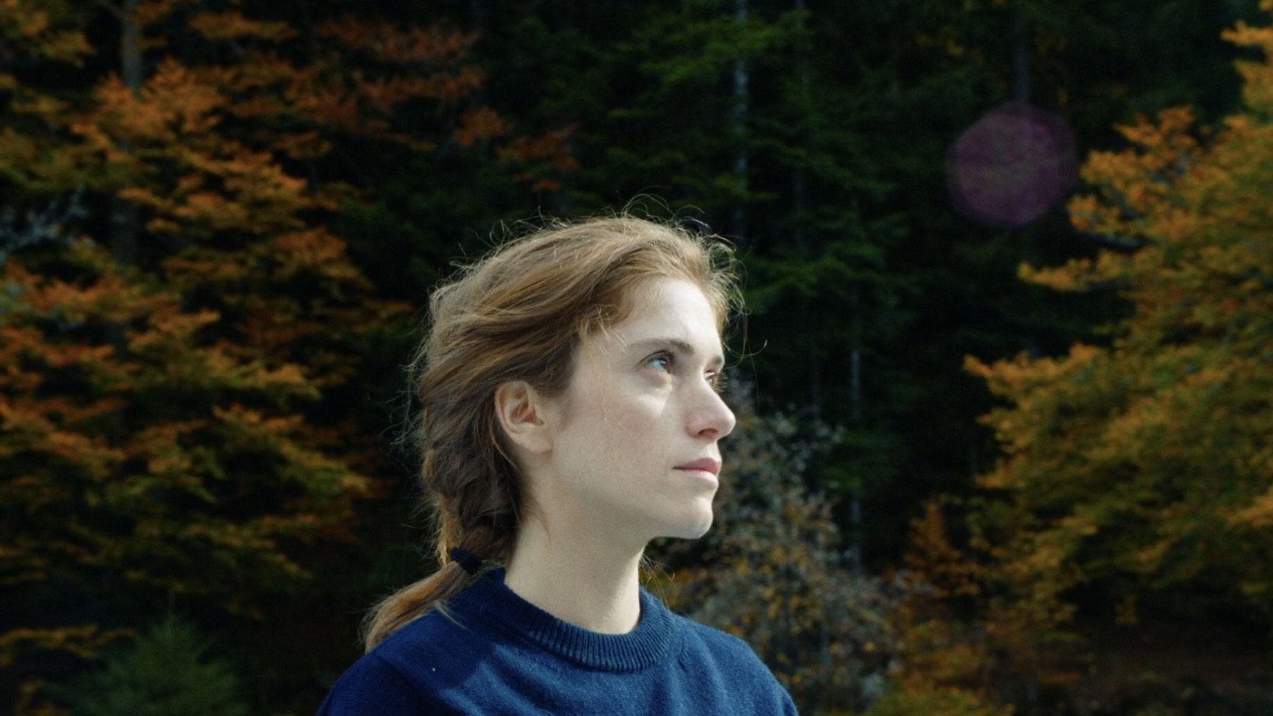 Perdrix scene photo