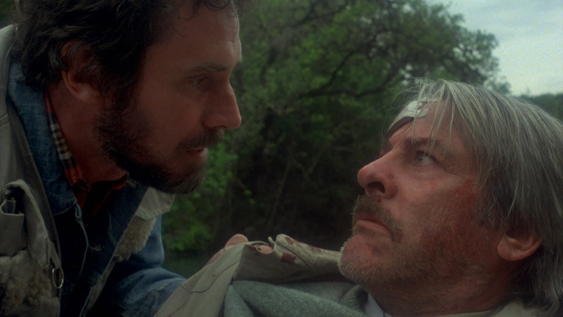 Piranha scene photo