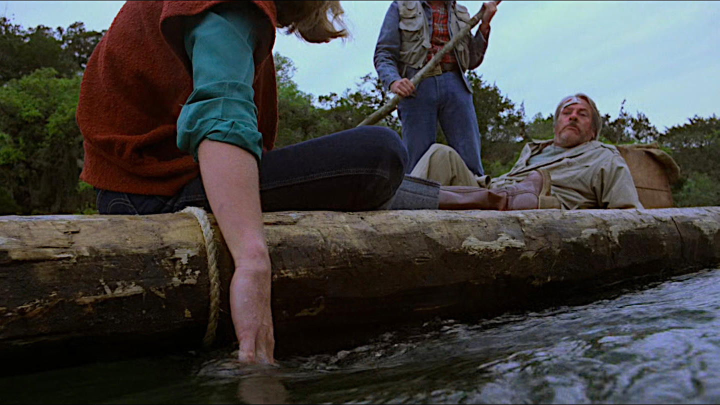 Piranha scene photo