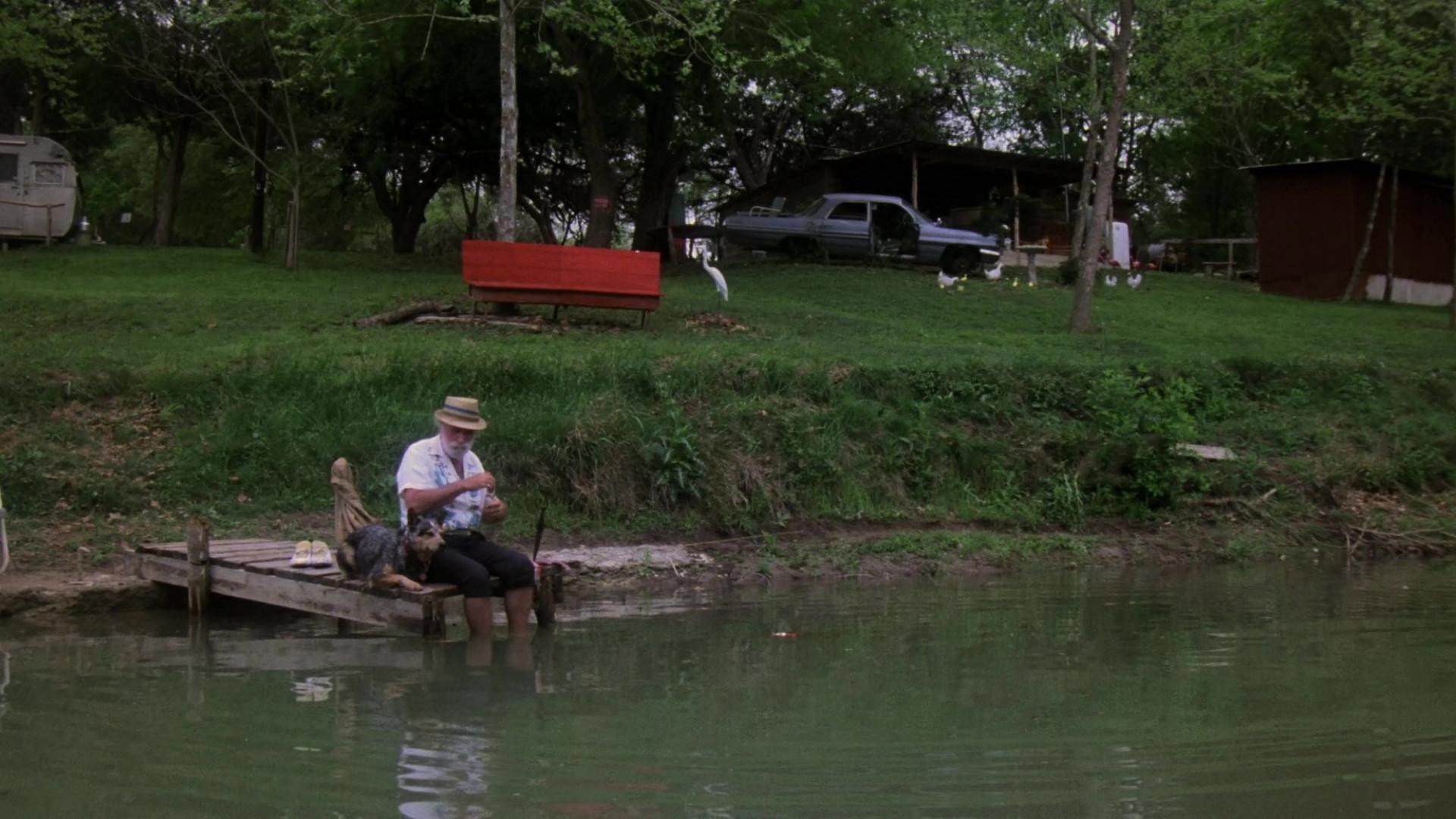 Piranha scene photo