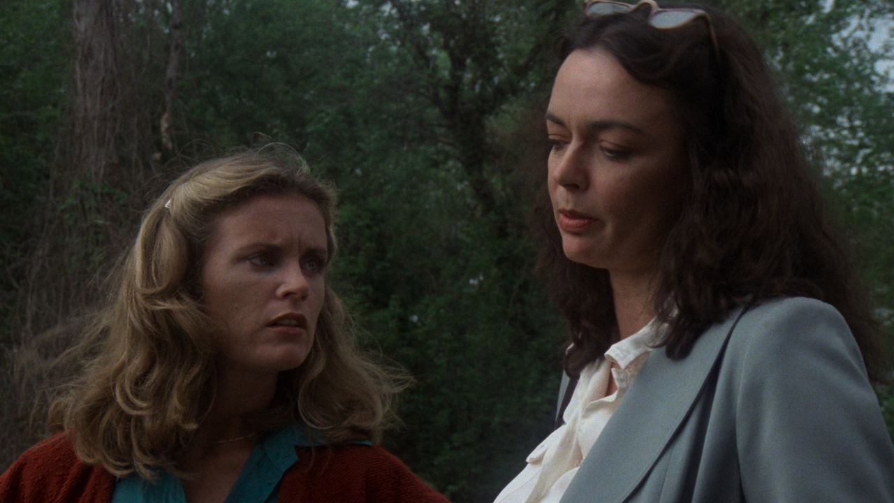 Piranha scene photo