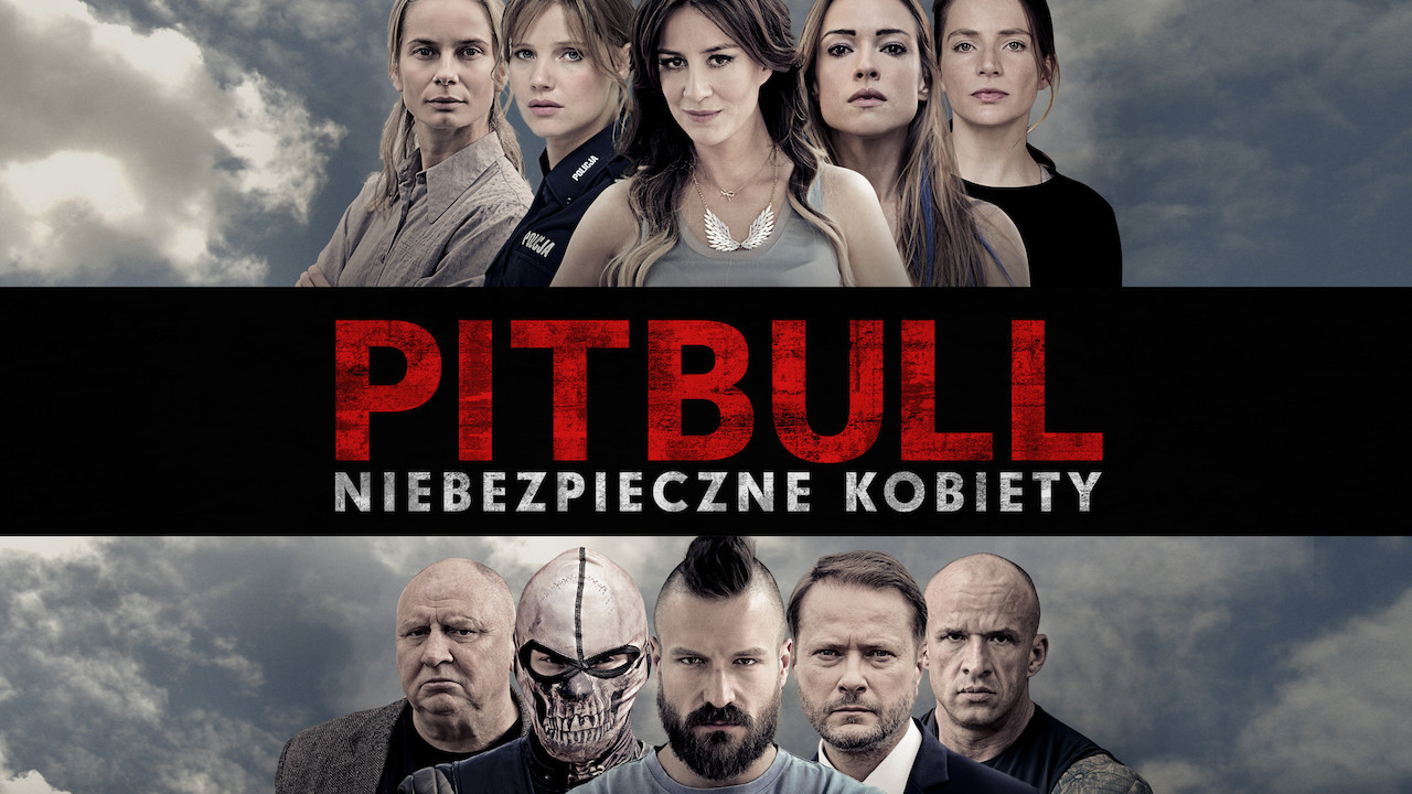 Pitbull. Niebezpieczne kobiety scene photo
