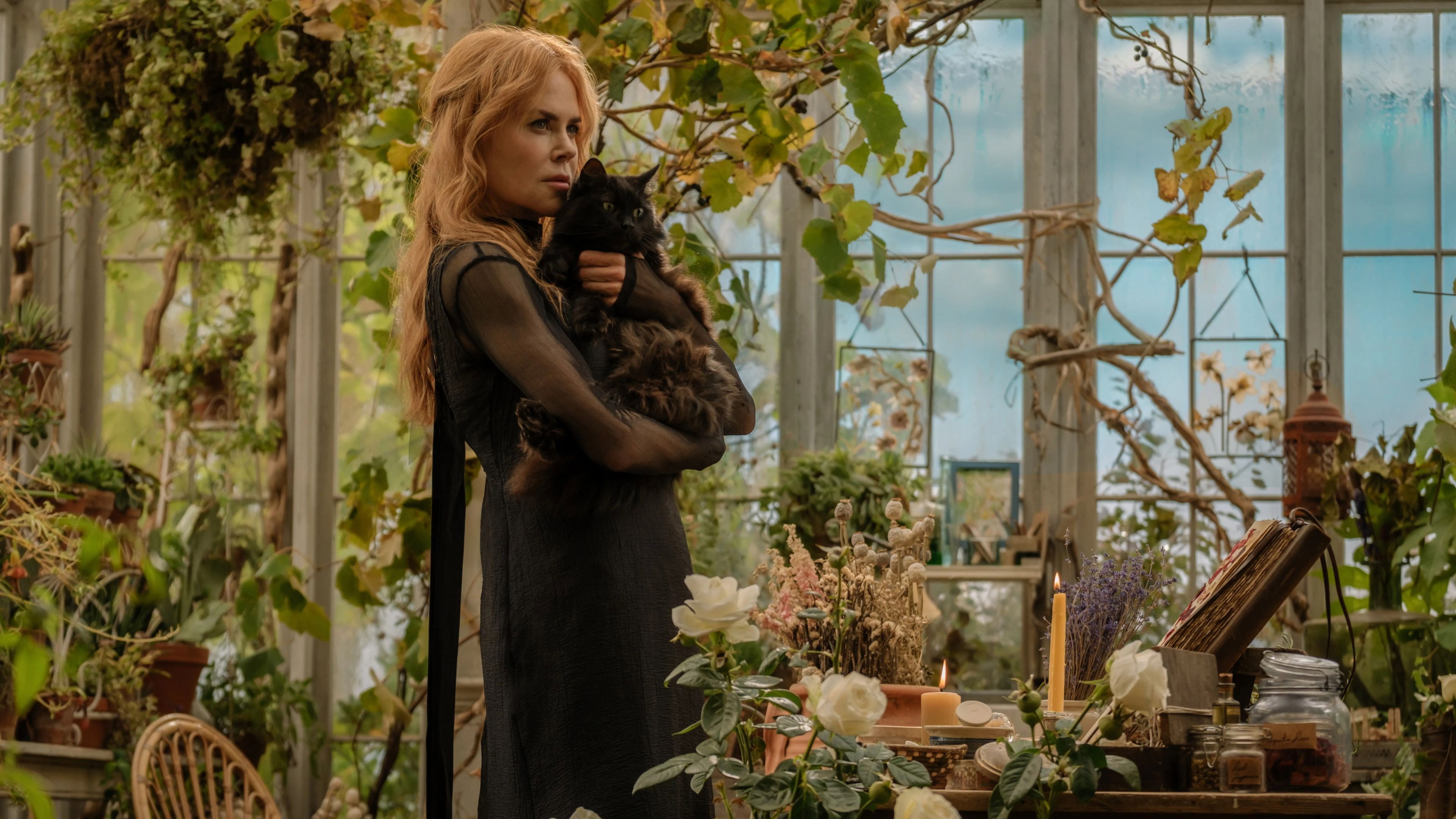 Practical Magic 2 scene photo