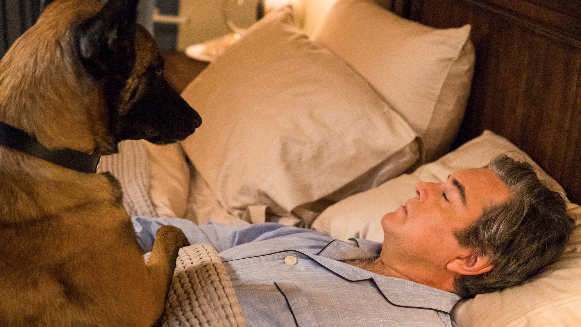 Psych 2: Lassie Come Home scene photo