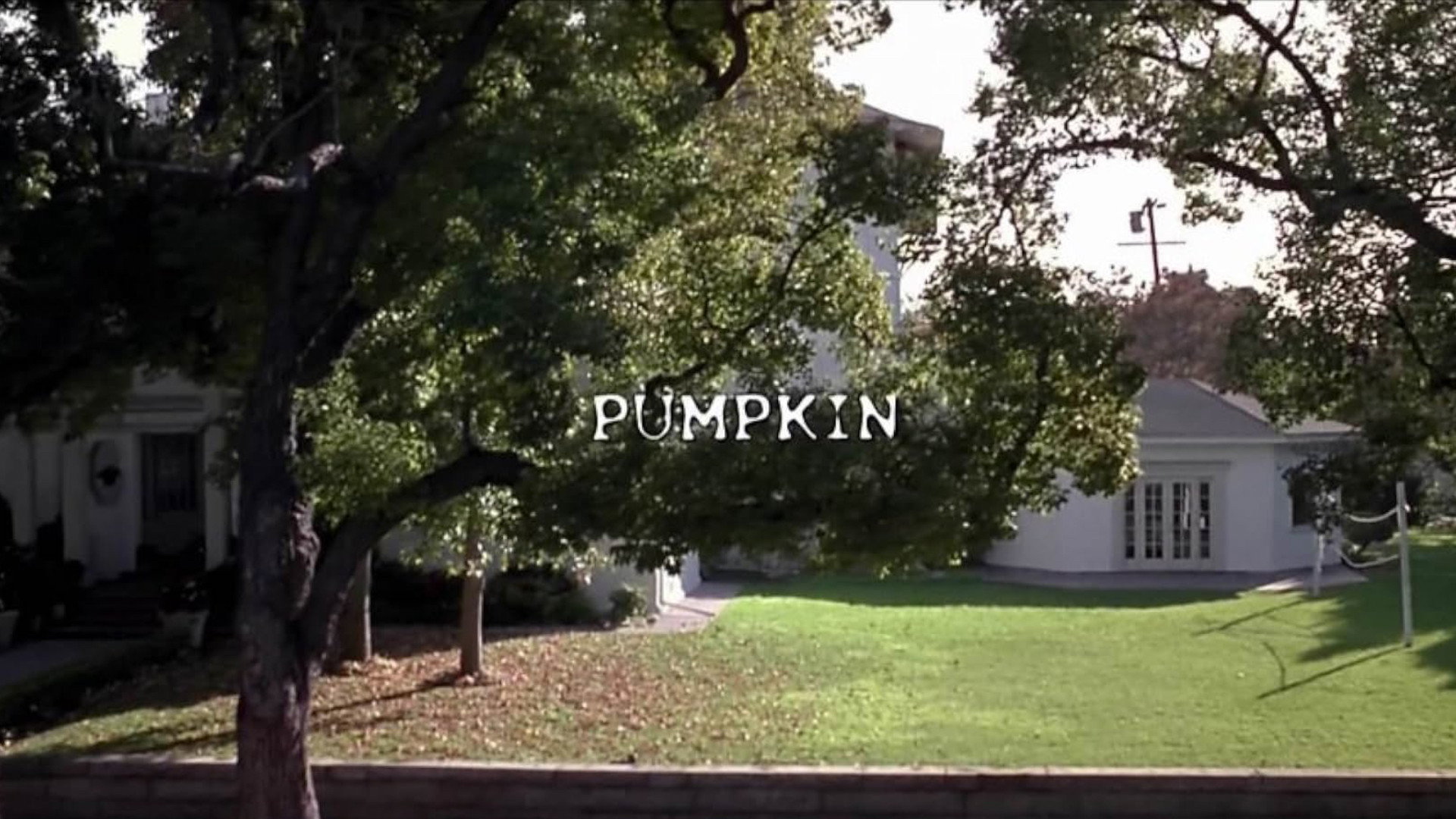 Pumpkin scene photo