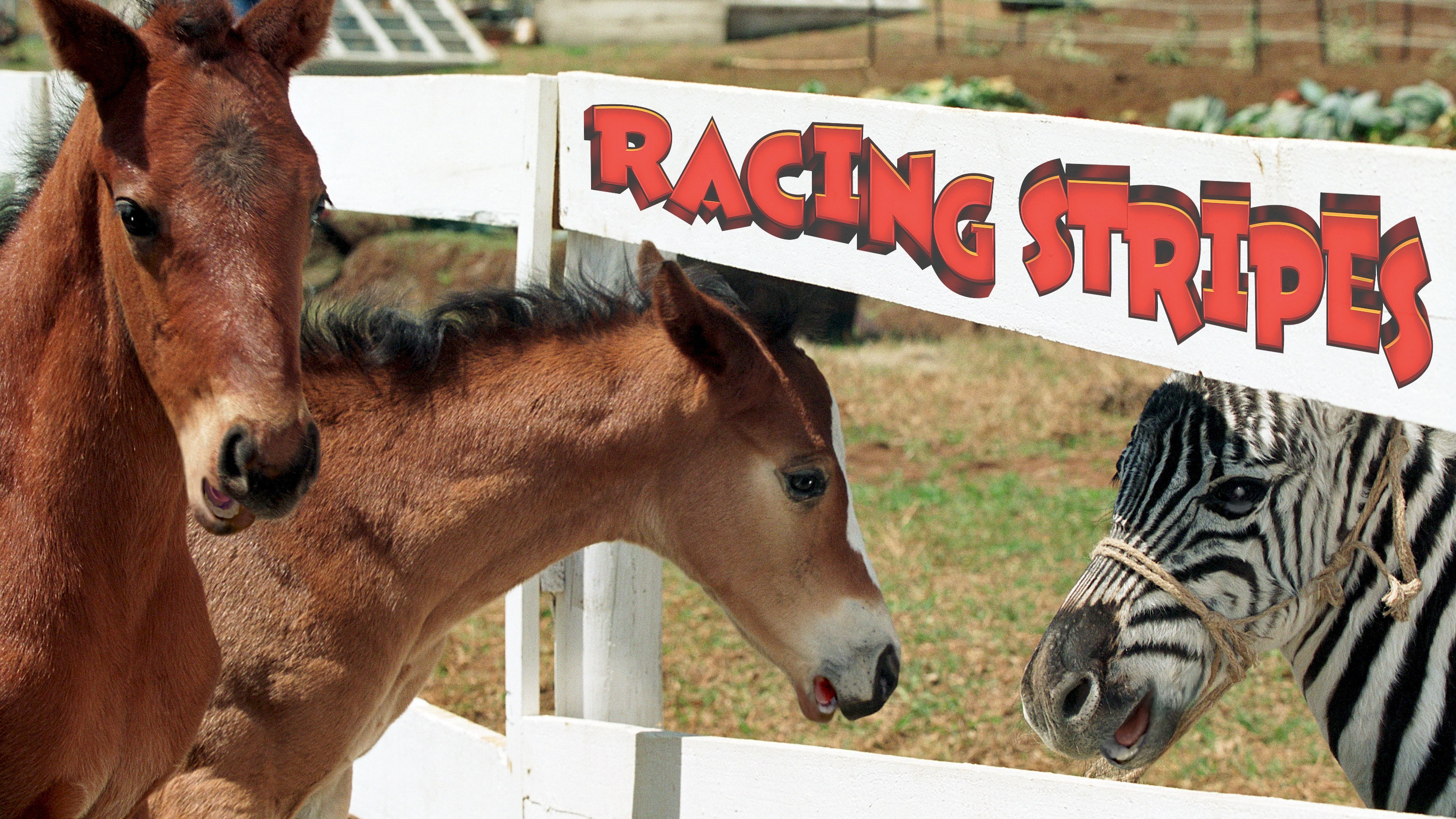 Racing Stripes scene photo