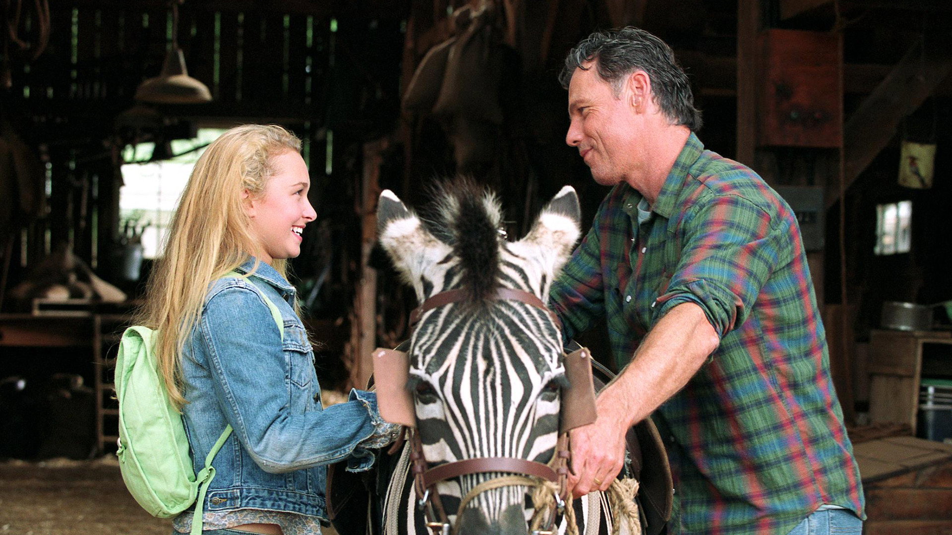Racing Stripes scene photo