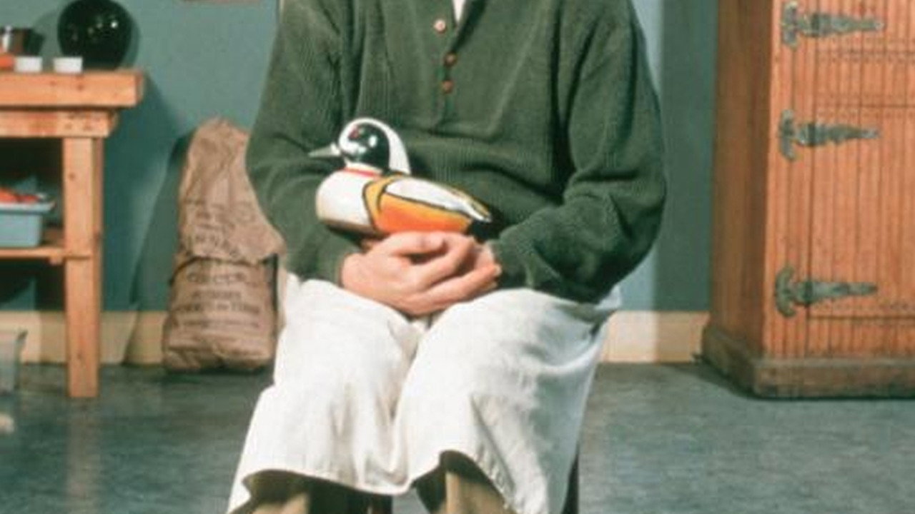 Rare Birds scene photo