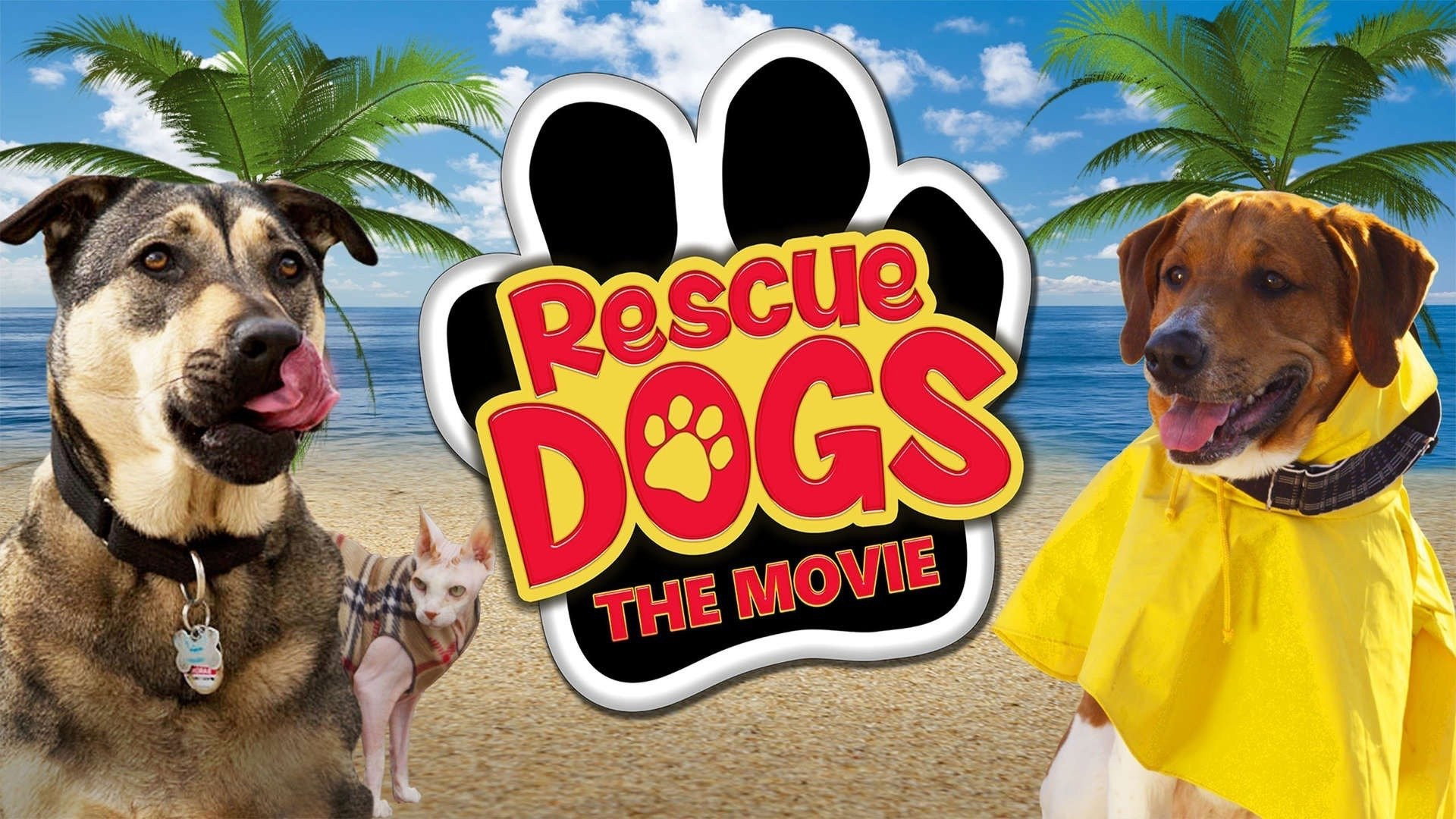 Rescue Dogs scene photo