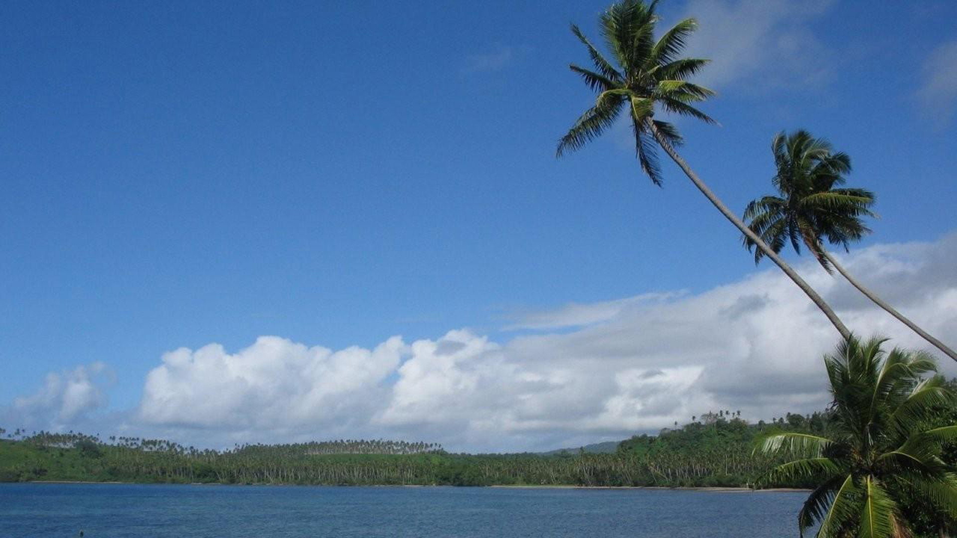 Return to the Blue Lagoon scene photo