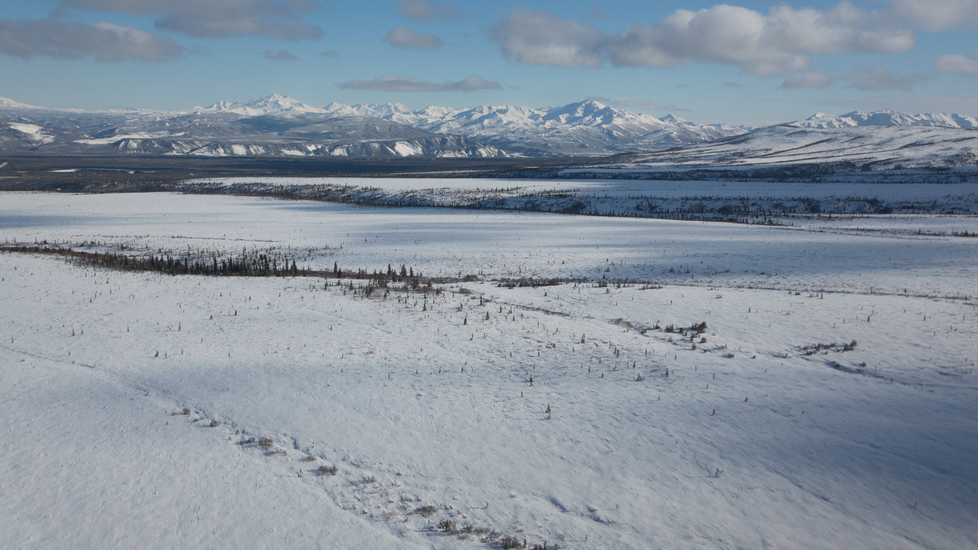 Return to the Wild: The Chris McCandless Story scene photo