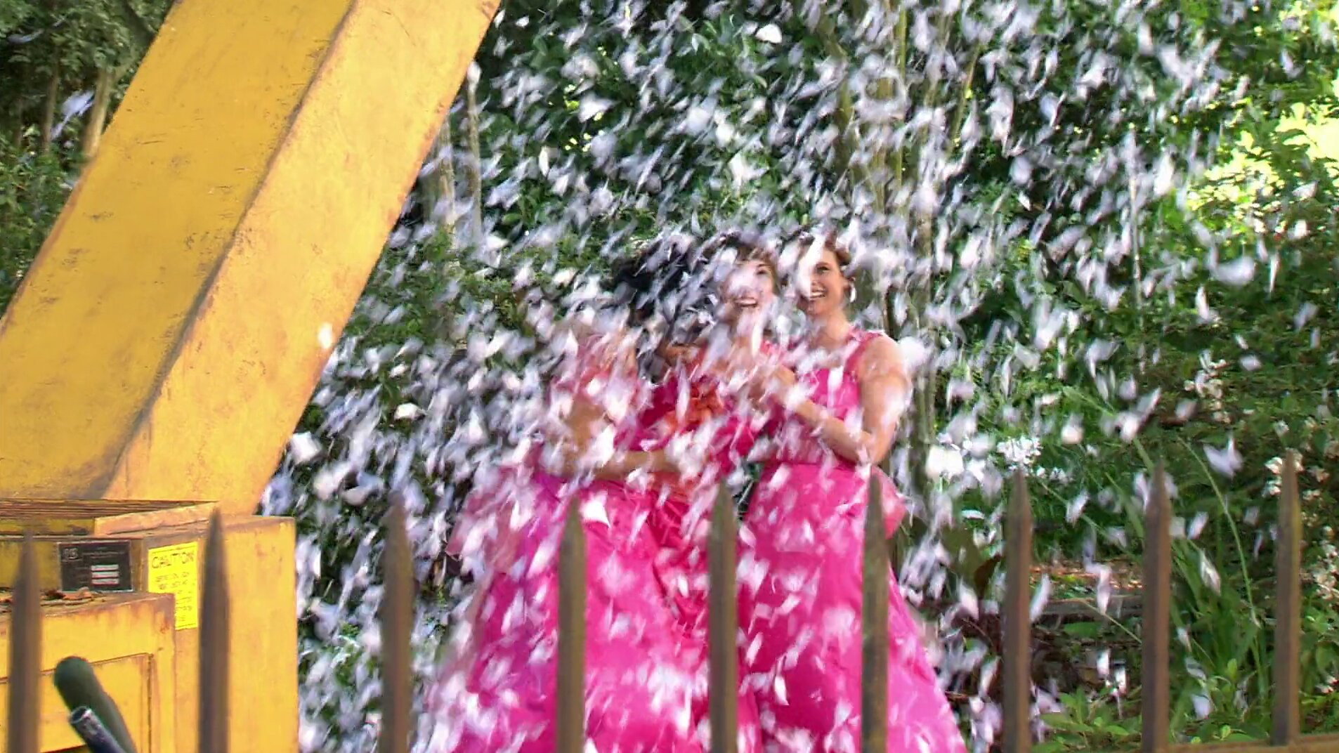 Revenge of the Bridesmaids scene photo