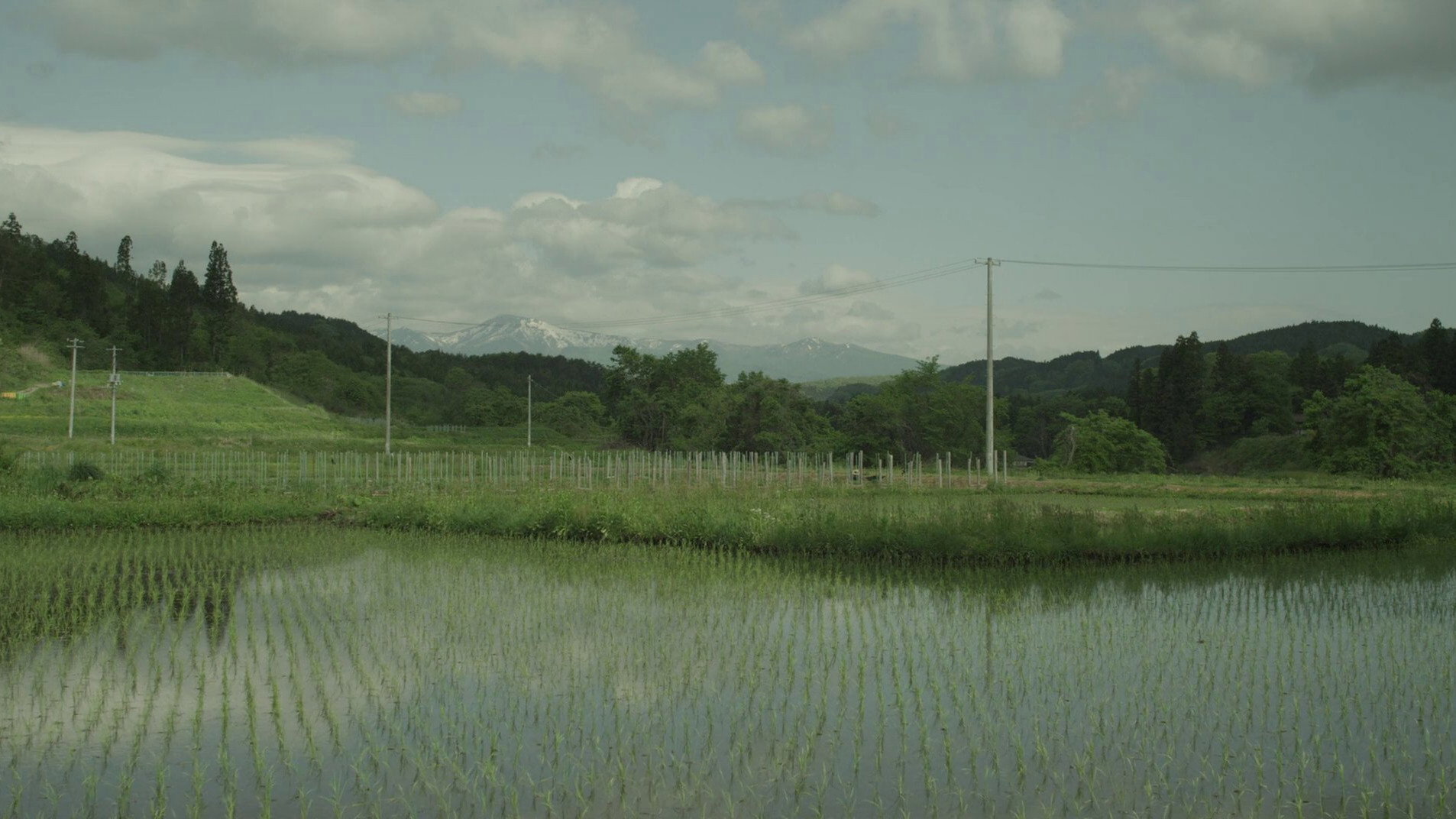 Ritoru foresuto: Fuyu/Haru scene photo