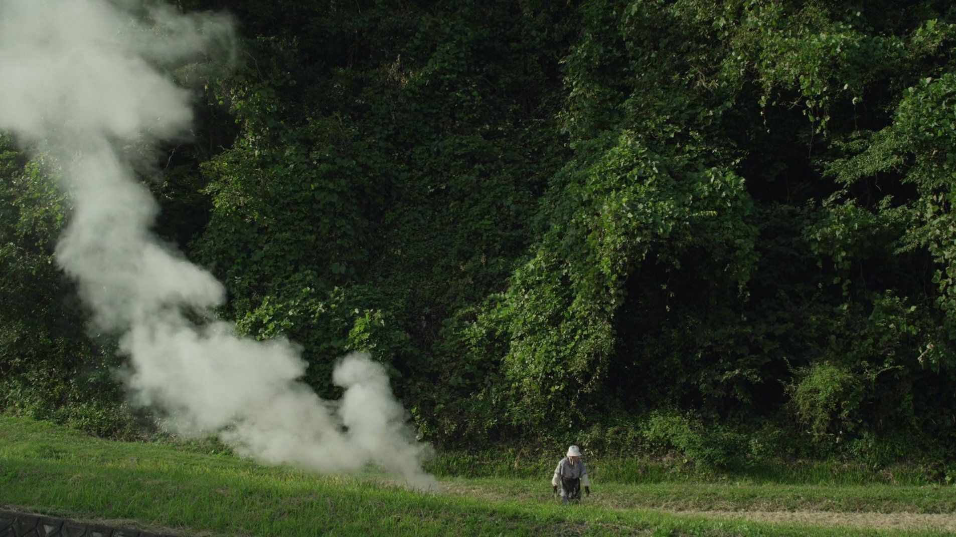 Ritoru foresuto: Fuyu/Haru scene photo