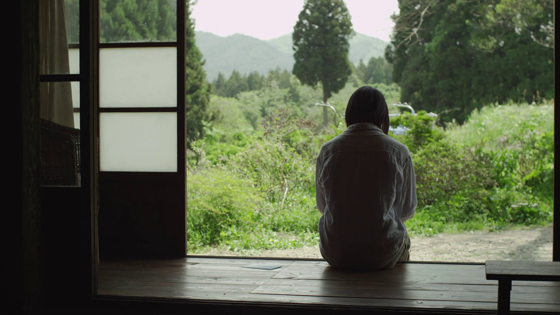 Ritoru foresuto: Fuyu/Haru scene photo