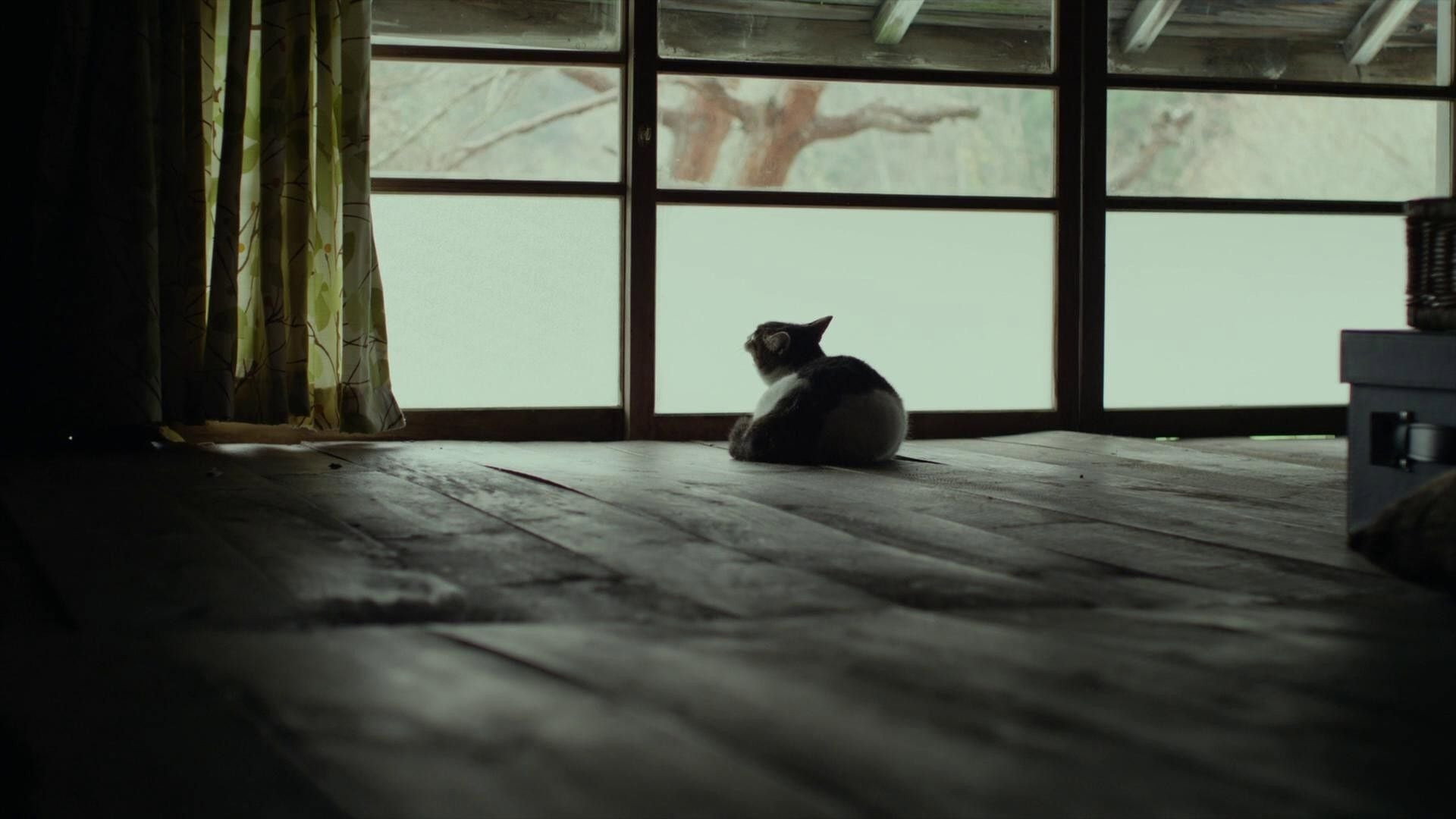 Ritoru foresuto: Natsu/Aki scene photo