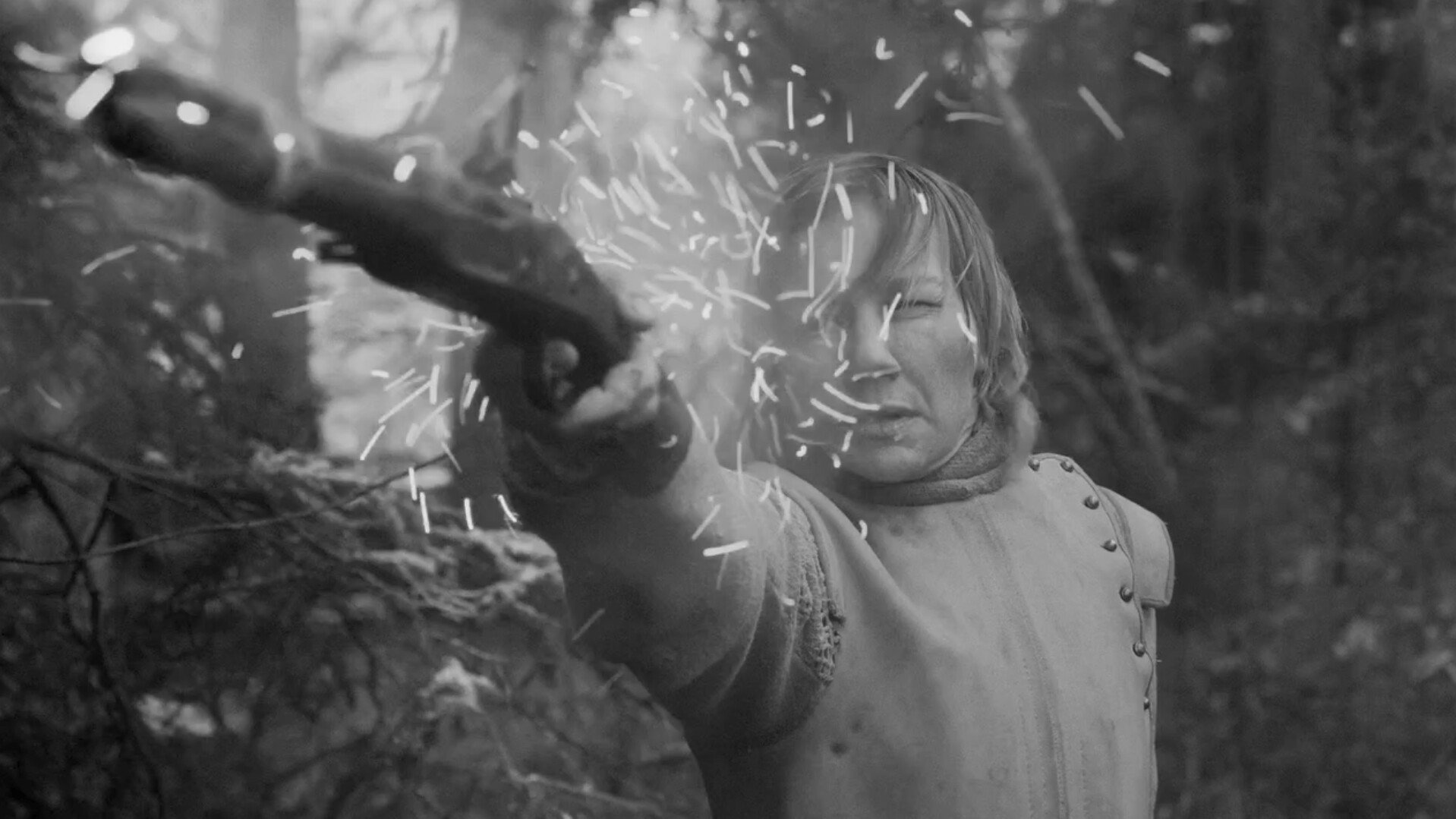 Rose scene photo