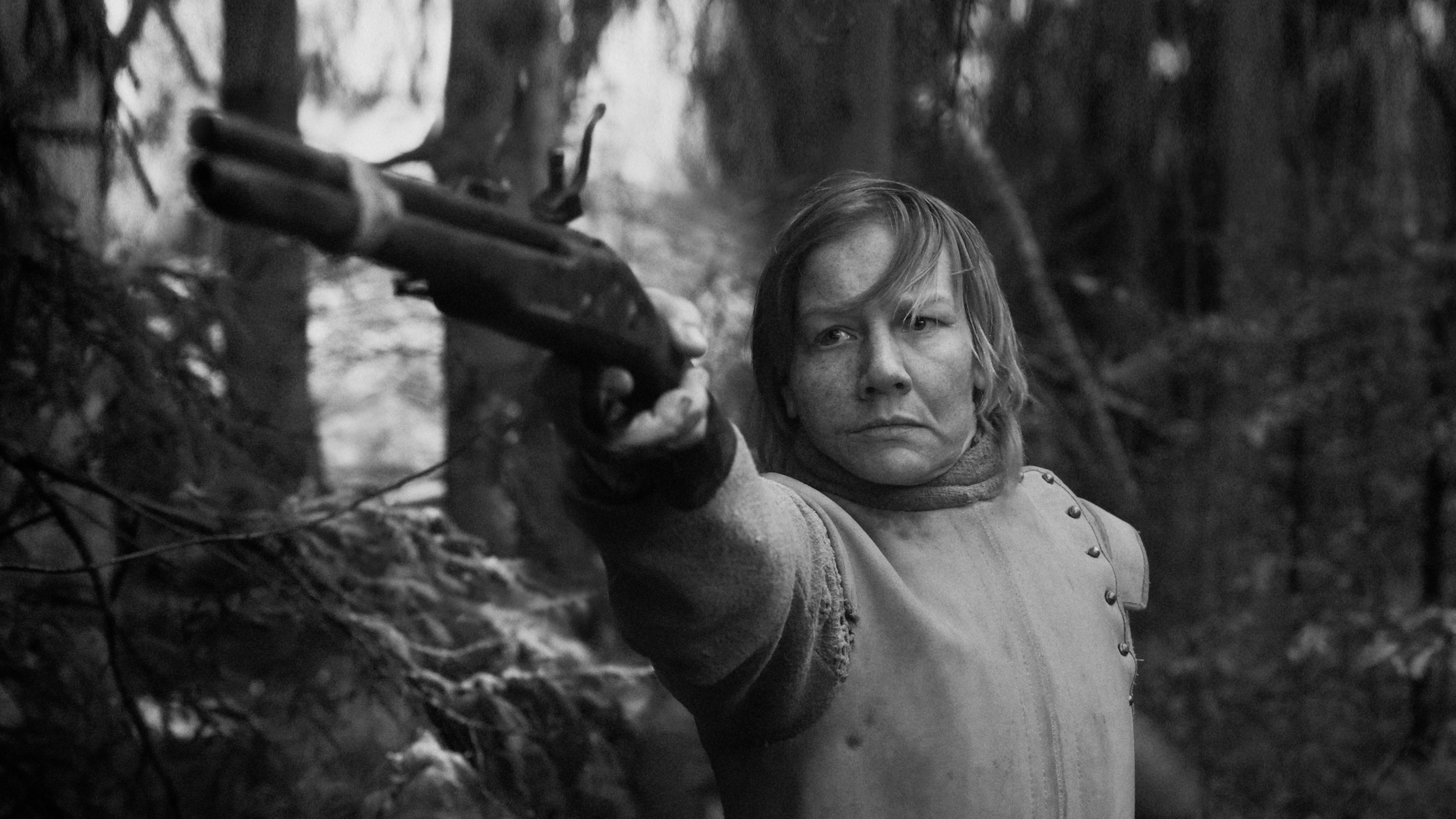 Rose scene photo