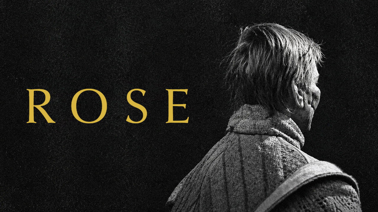 Rose scene photo
