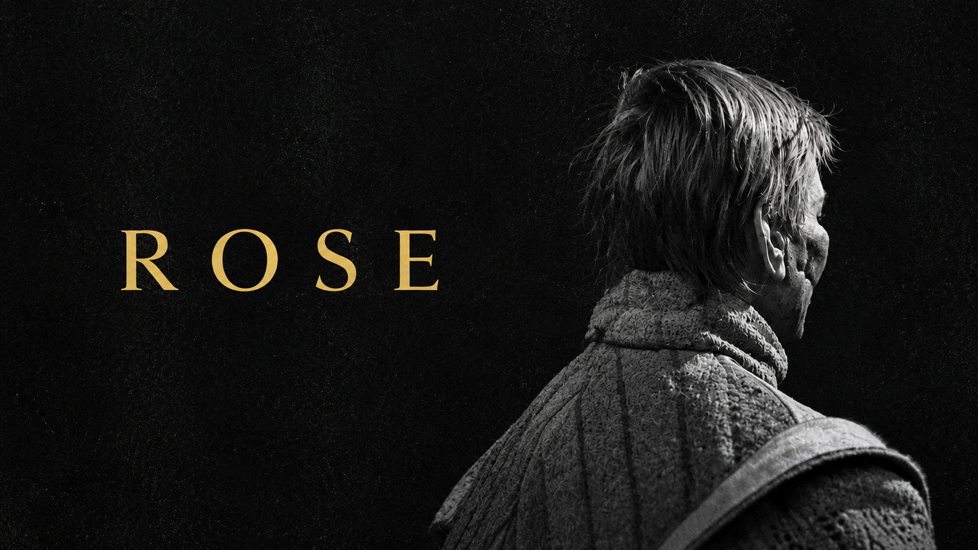 Rose scene photo