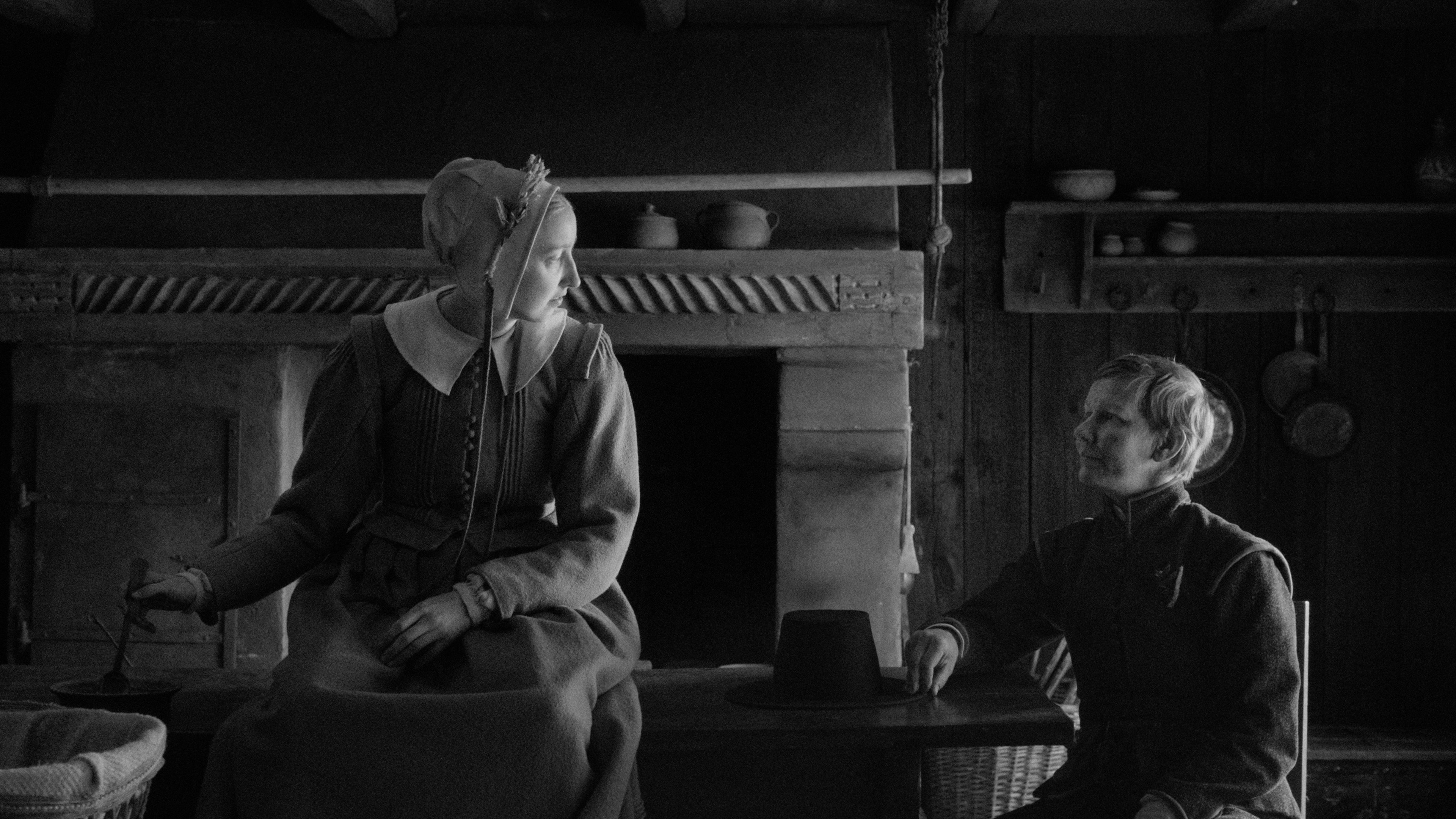 Rose scene photo