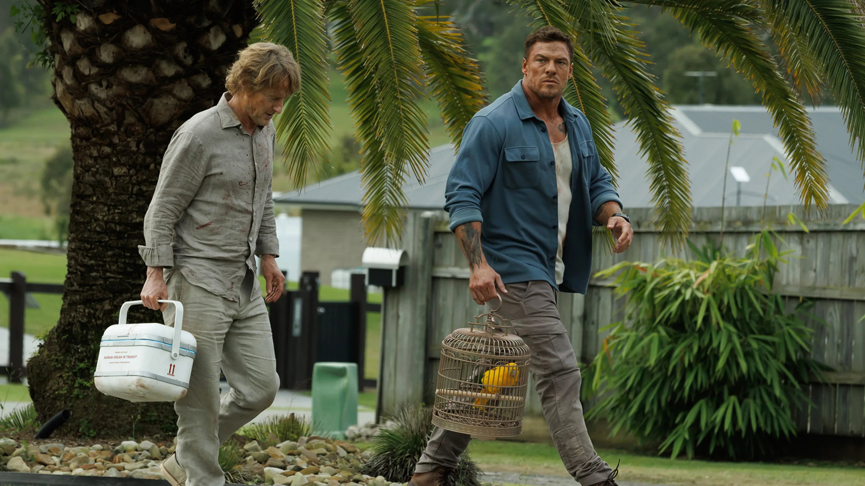 Runner scene photo