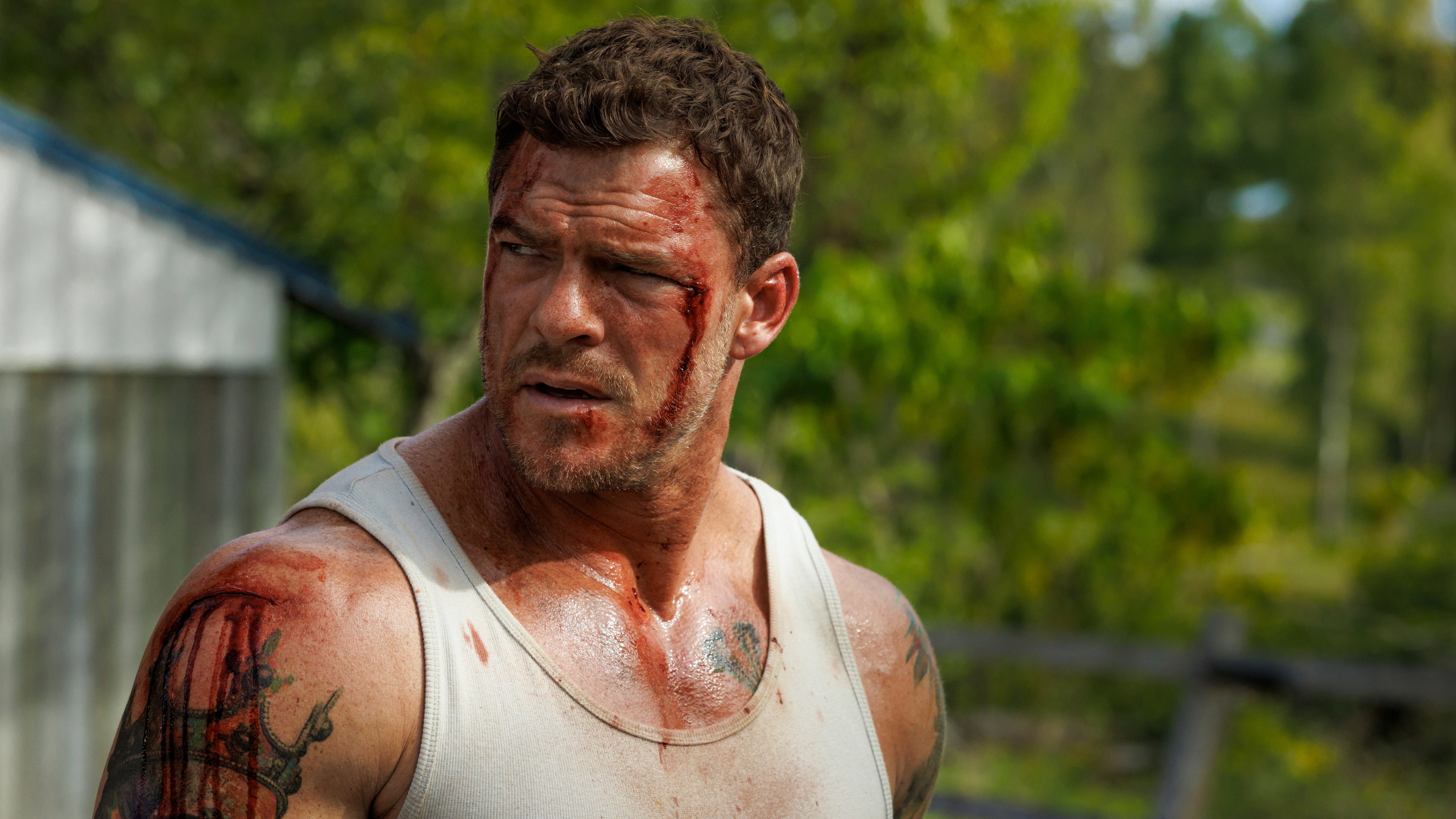 Runner scene photo