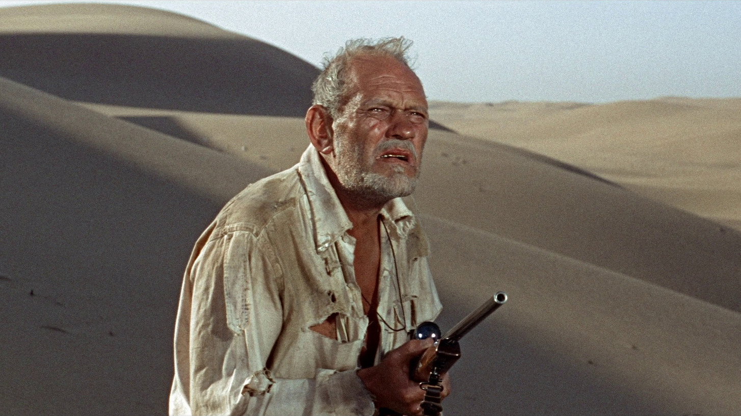 Sands of the Kalahari scene photo