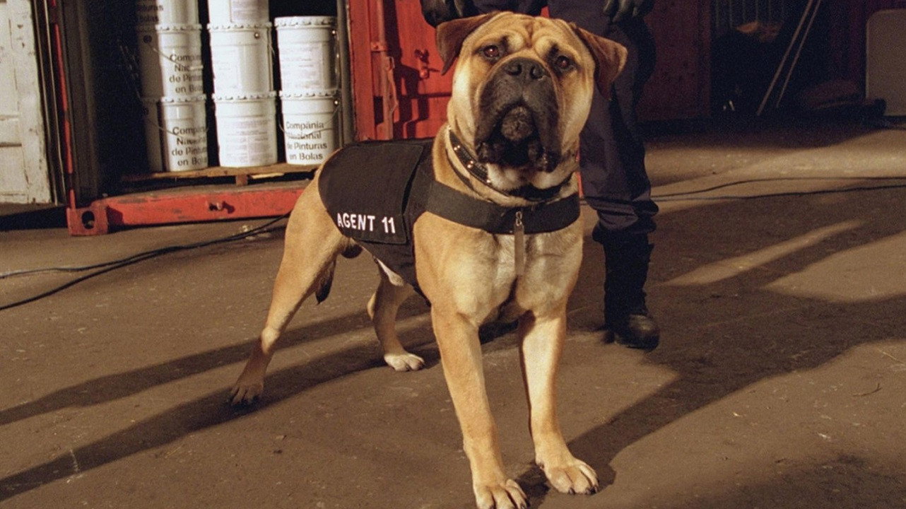 See Spot Run scene photo
