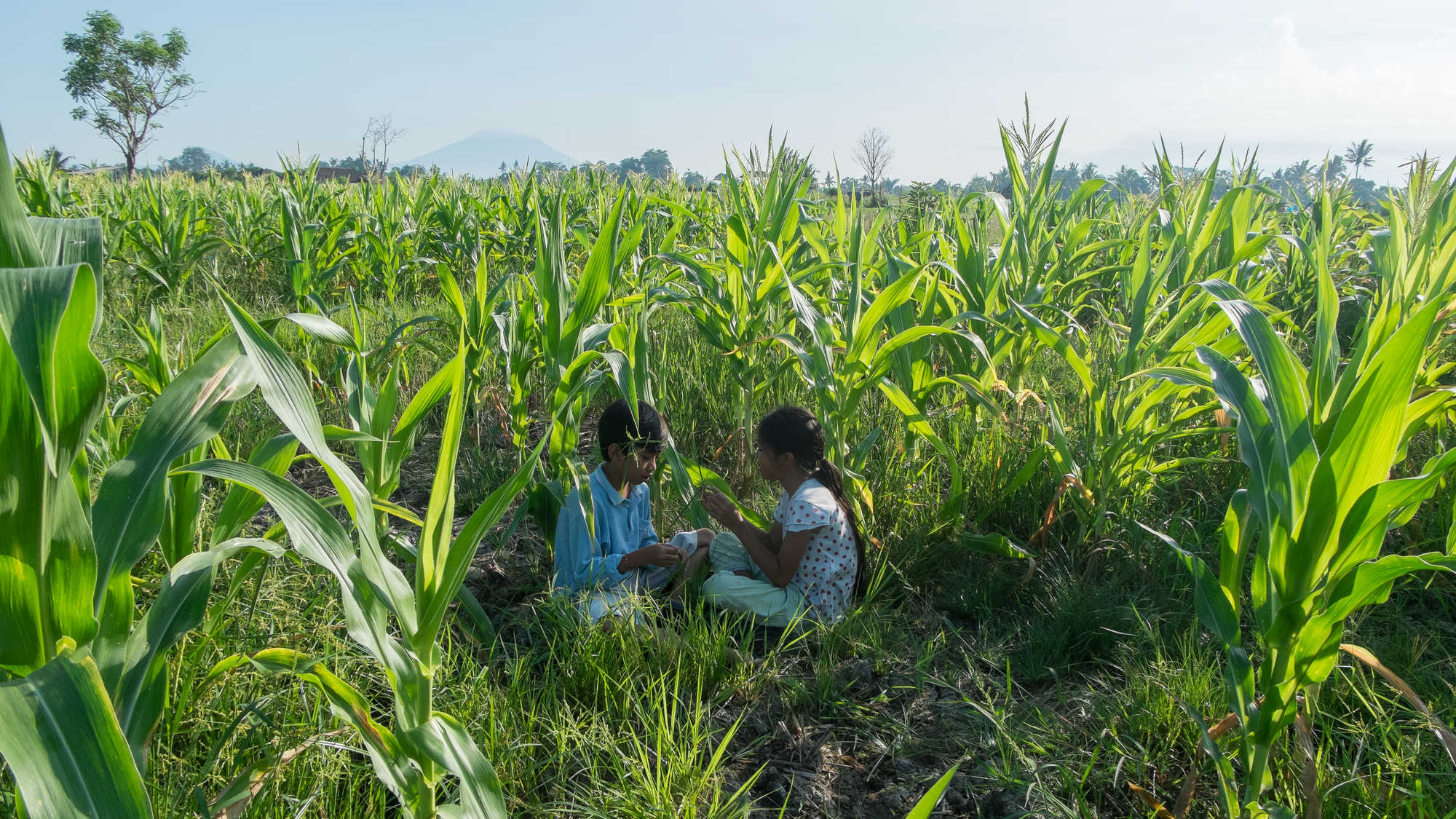 Sekala Niskala scene photo