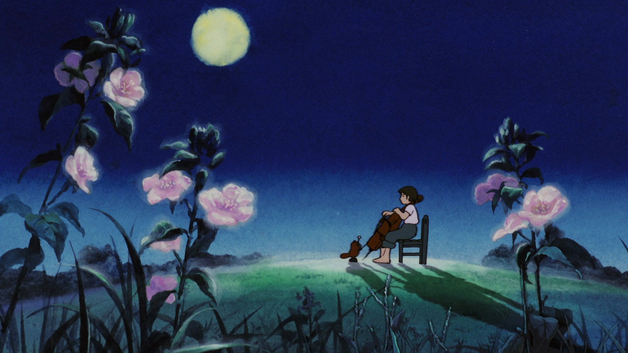 Sero hiki no Gôshu scene photo