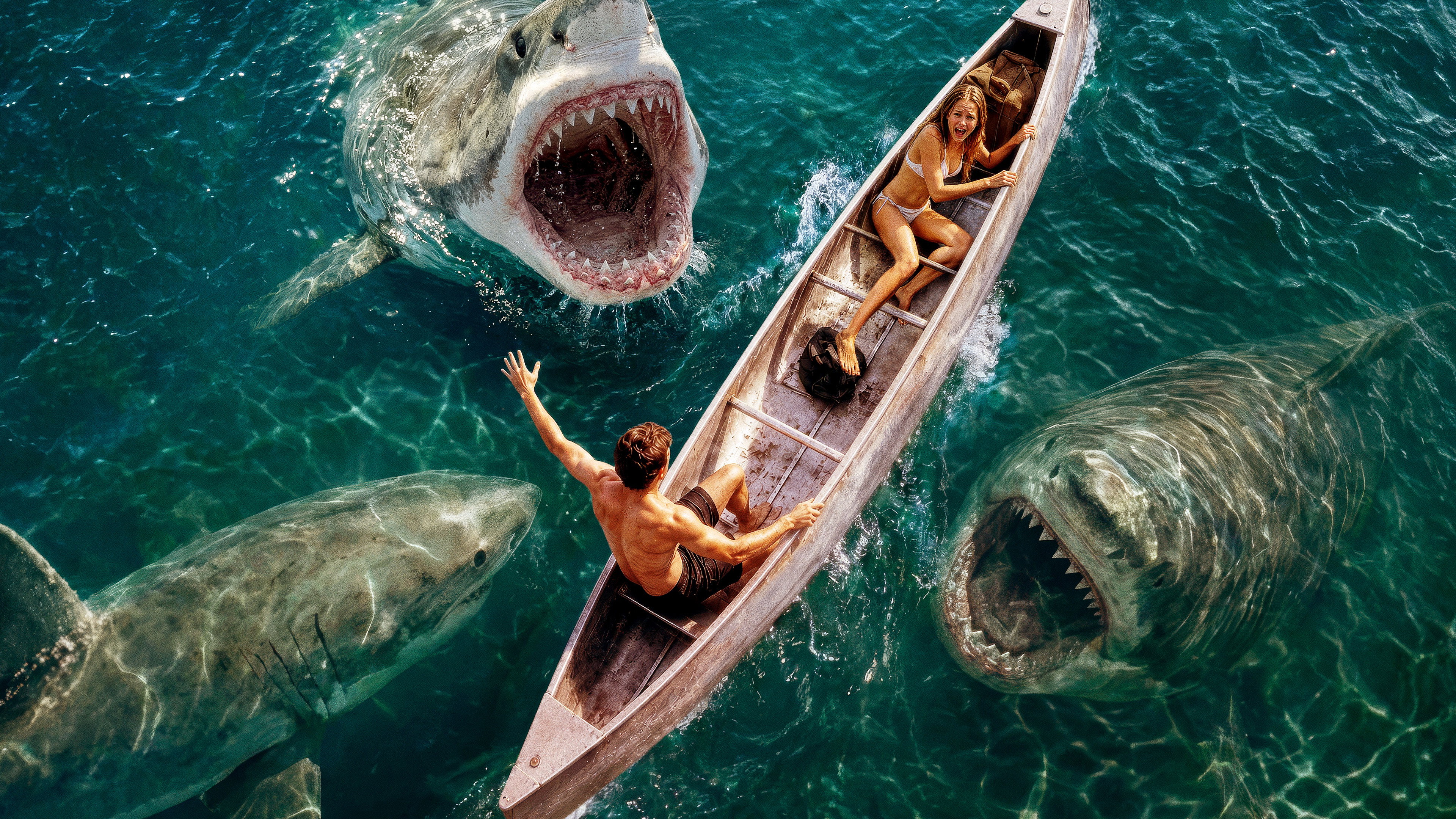 Shark Frenzy scene photo